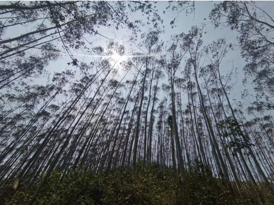 luck18xinli(中国区)-官方网站