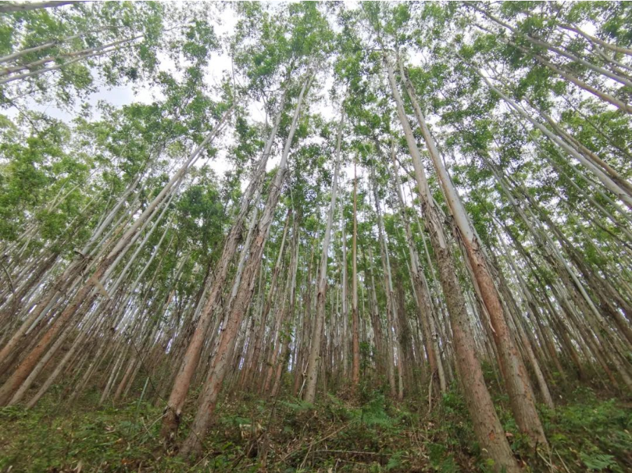 luck18xinli(中国区)-官方网站