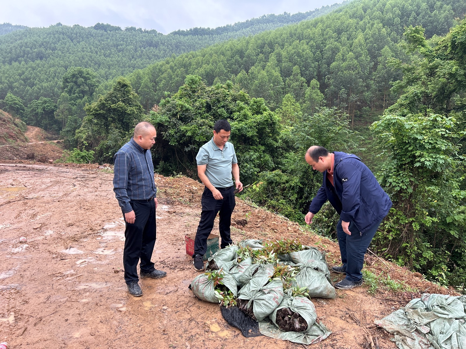 luck18xinli(中国区)-官方网站