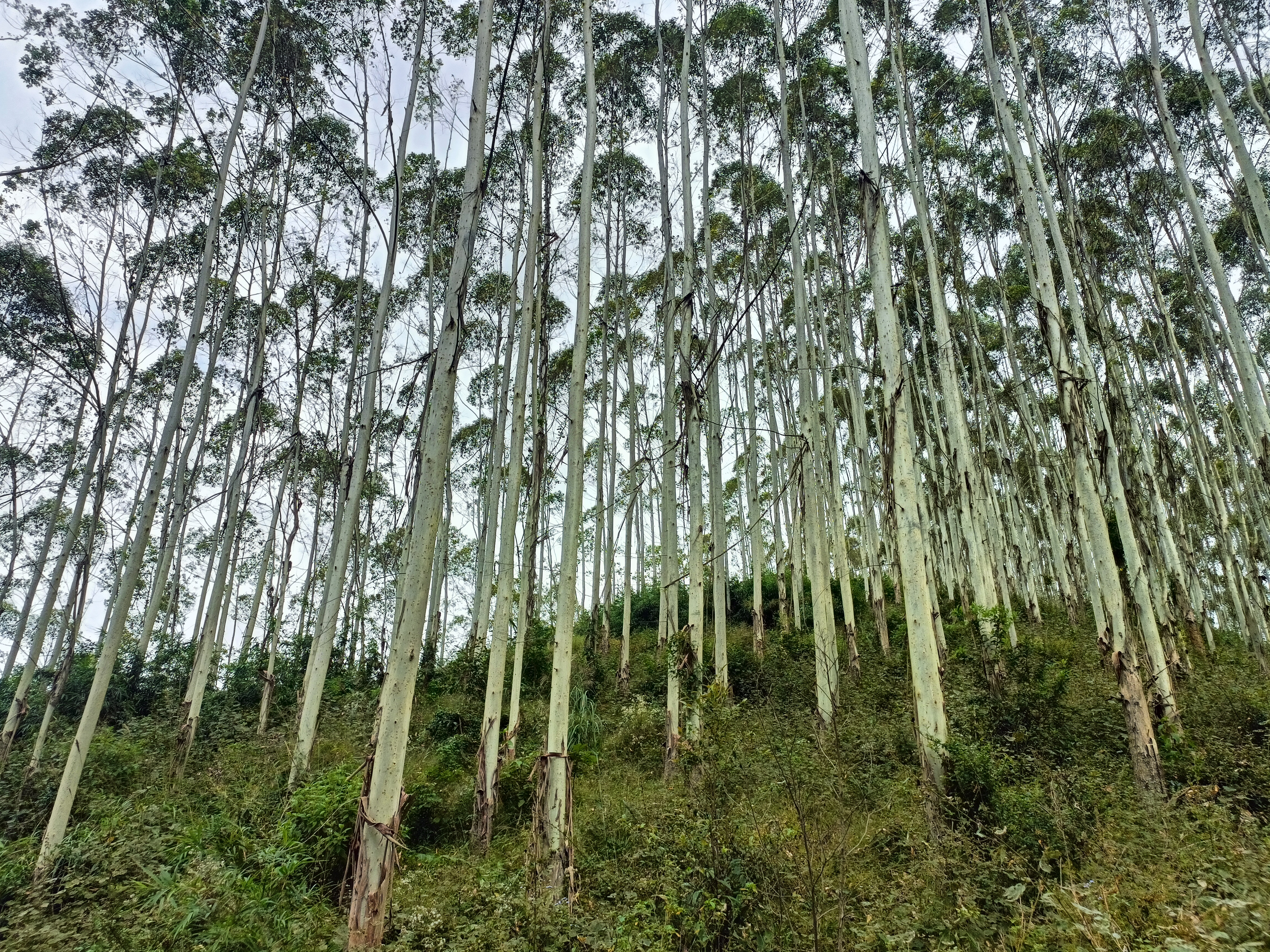 luck18xinli(中国区)-官方网站