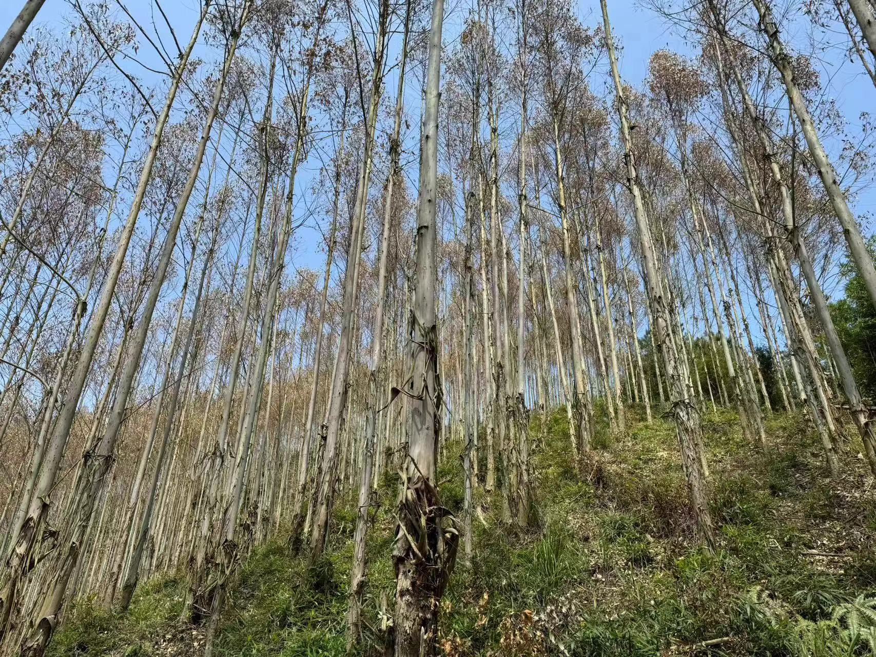 luck18xinli(中国区)-官方网站