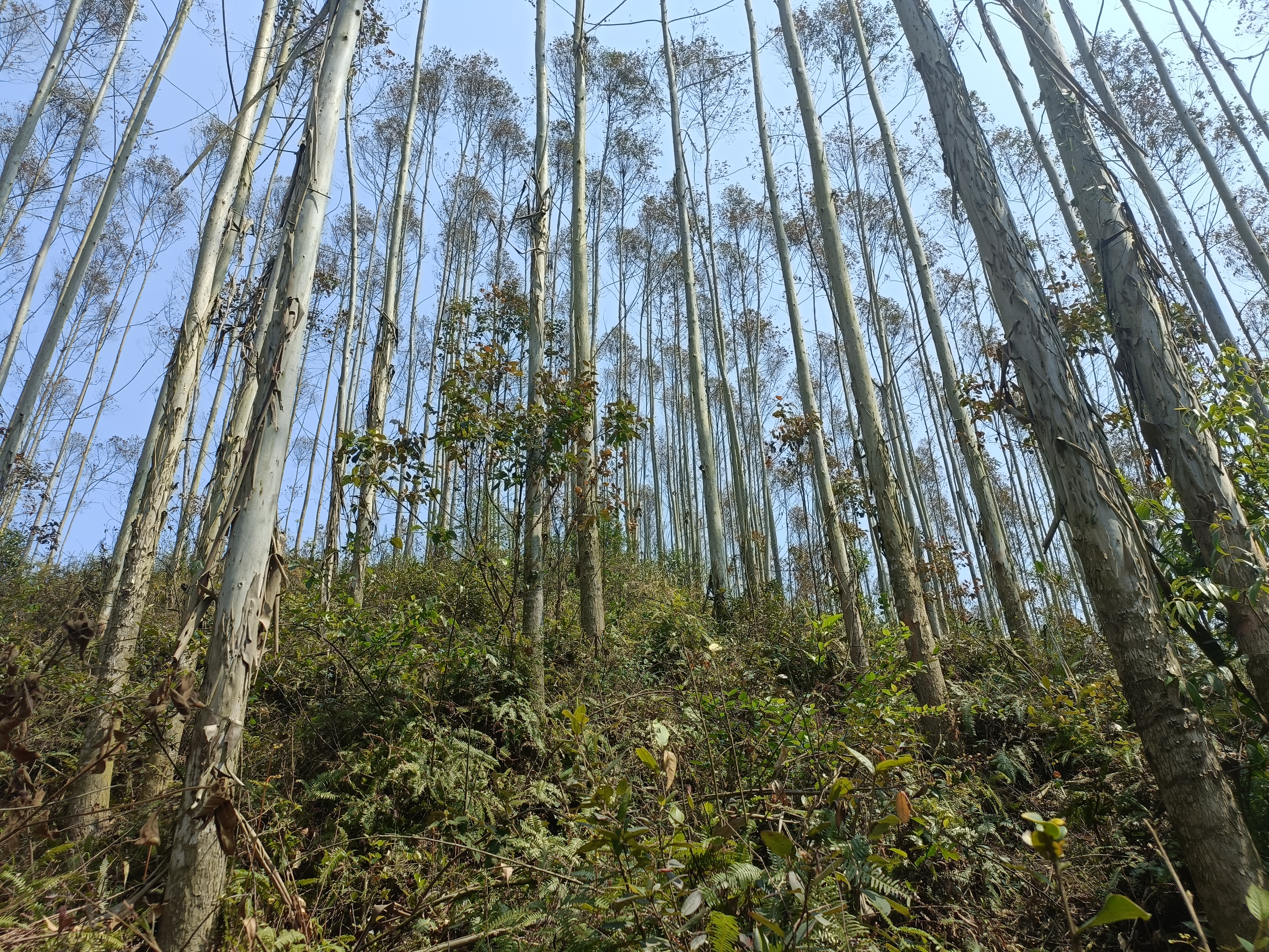 luck18xinli(中国区)-官方网站