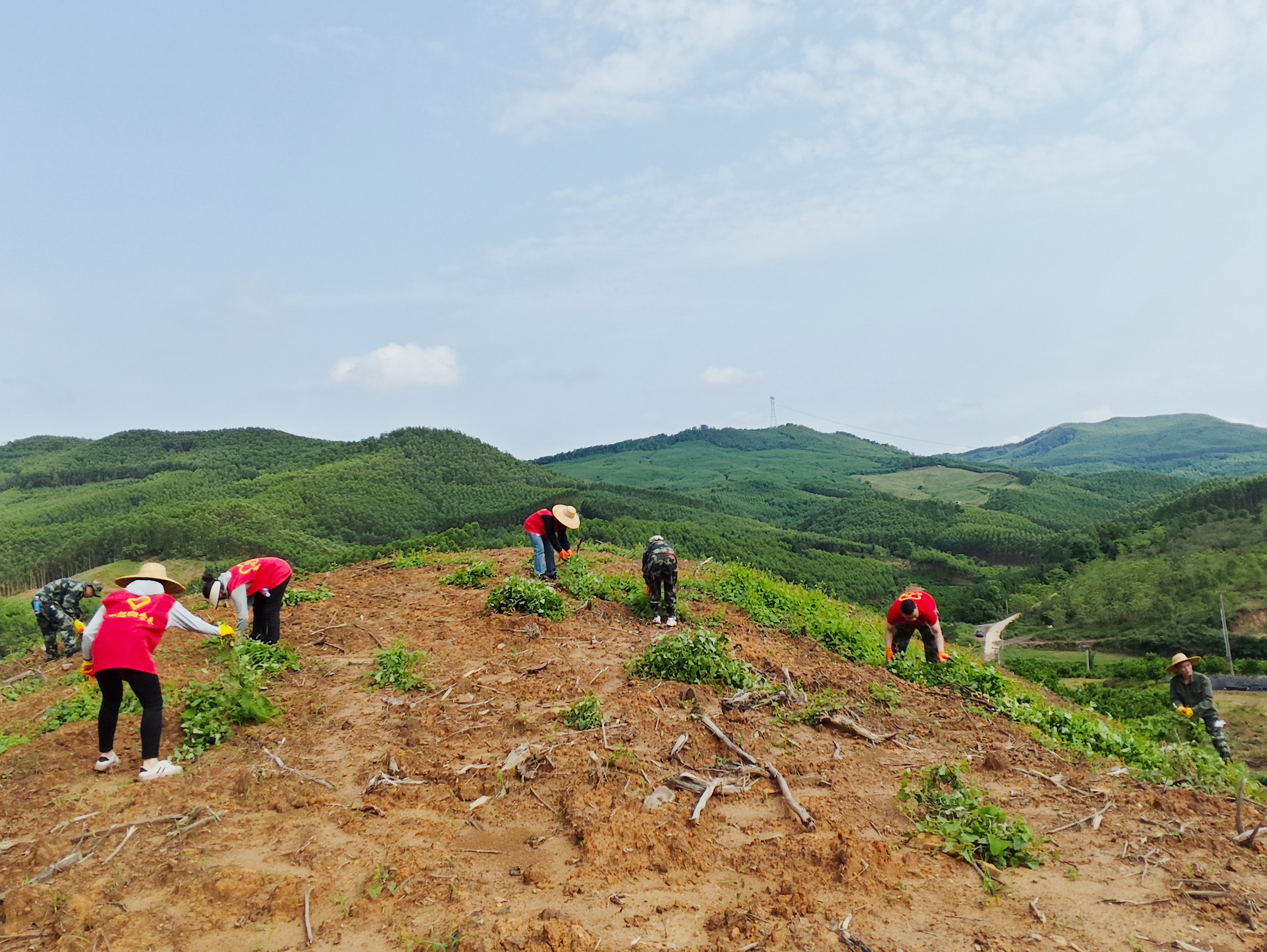 luck18xinli(中国区)-官方网站