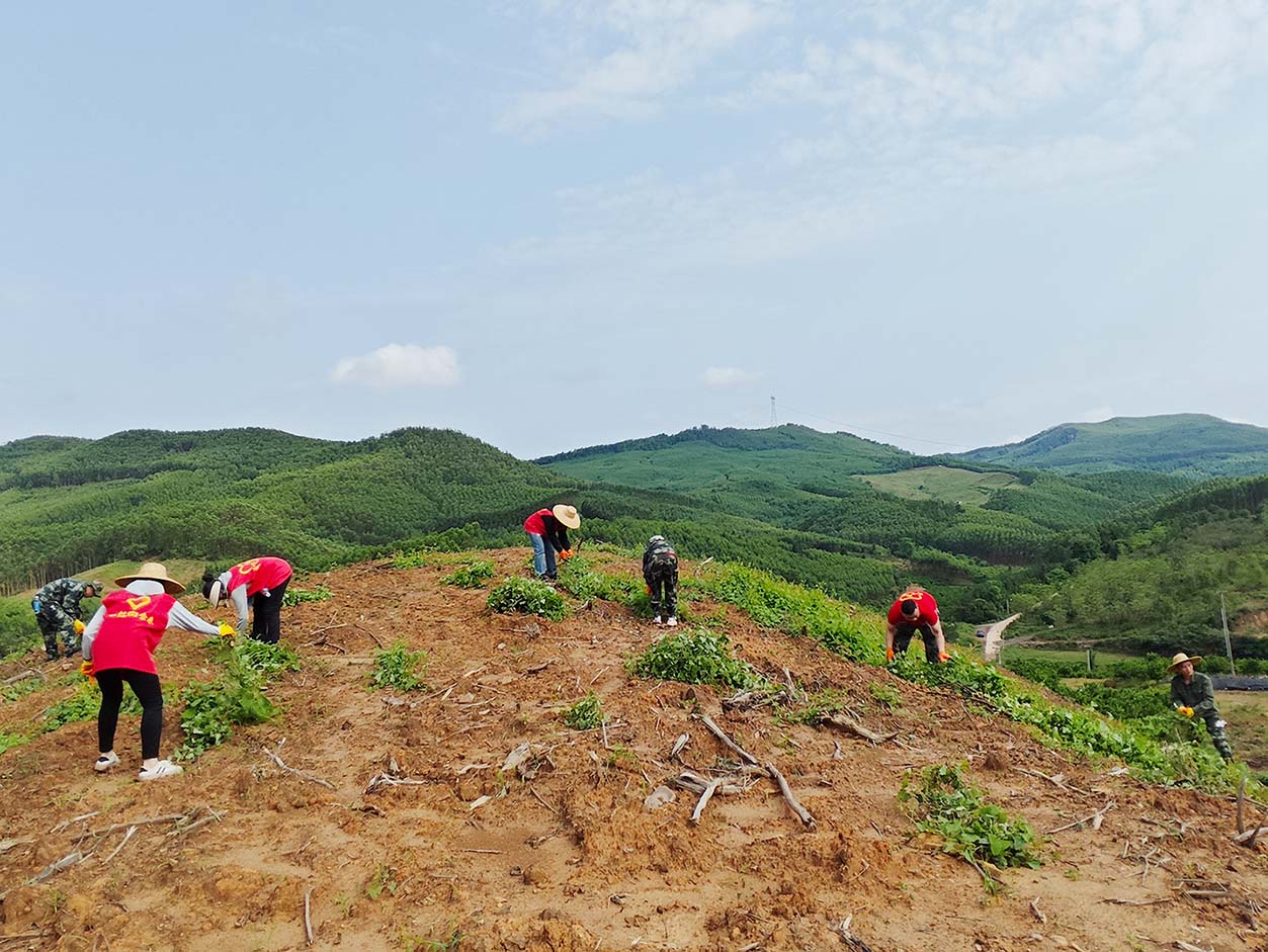 luck18xinli(中国区)-官方网站