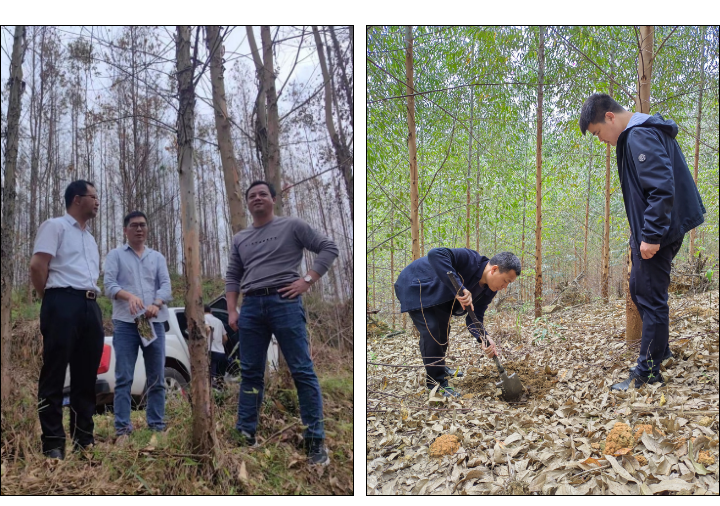 luck18xinli(中国区)-官方网站