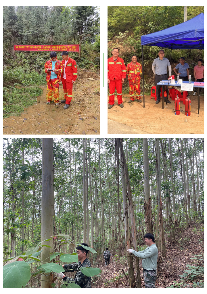 luck18xinli(中国区)-官方网站