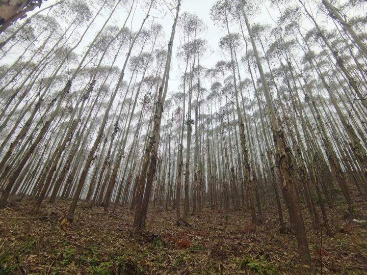 luck18xinli(中国区)-官方网站