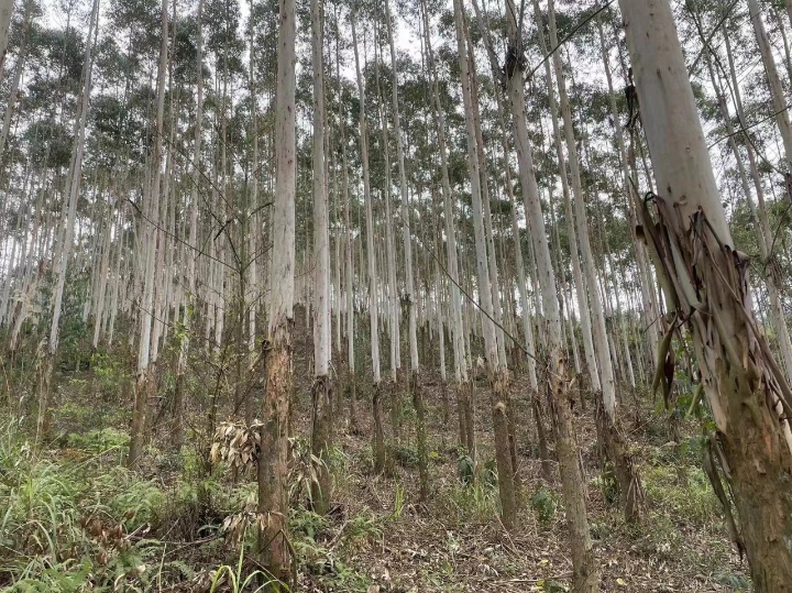 luck18xinli(中国区)-官方网站