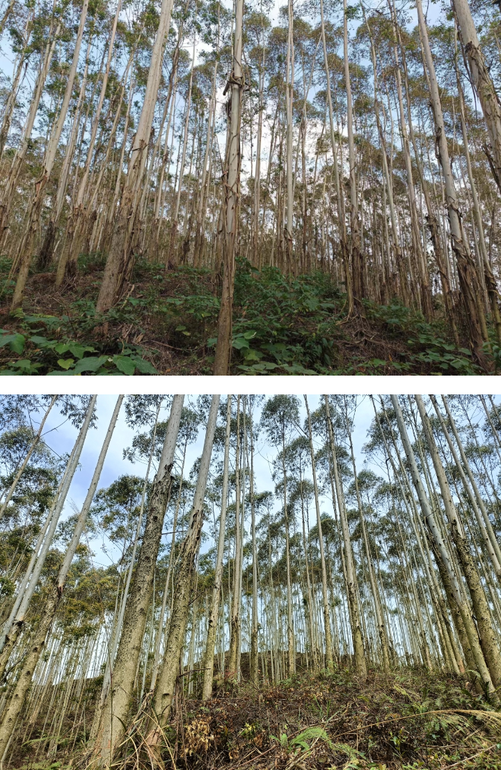 luck18xinli(中国区)-官方网站