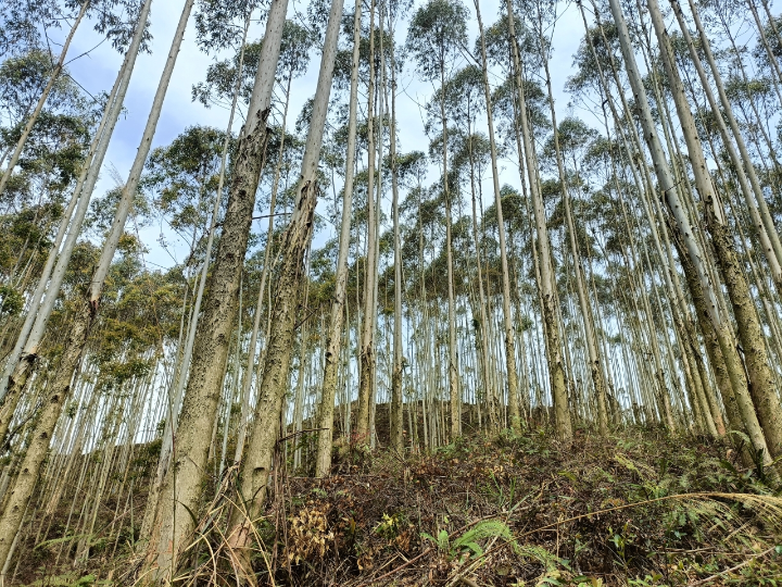 luck18xinli(中国区)-官方网站