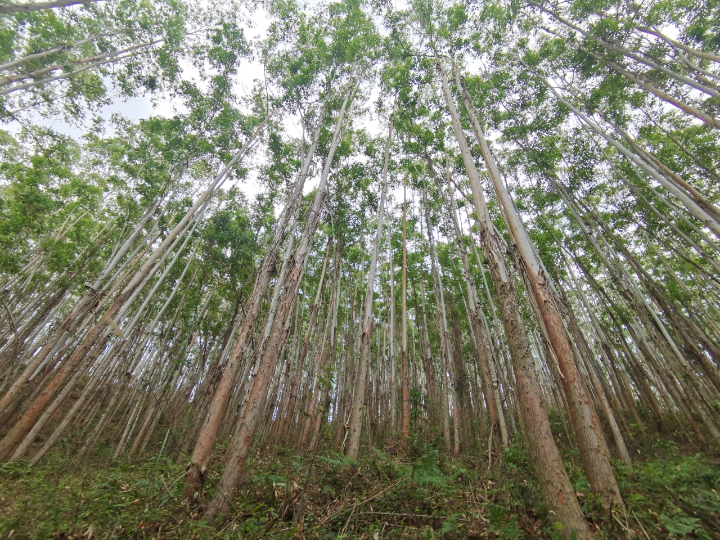 luck18xinli(中国区)-官方网站