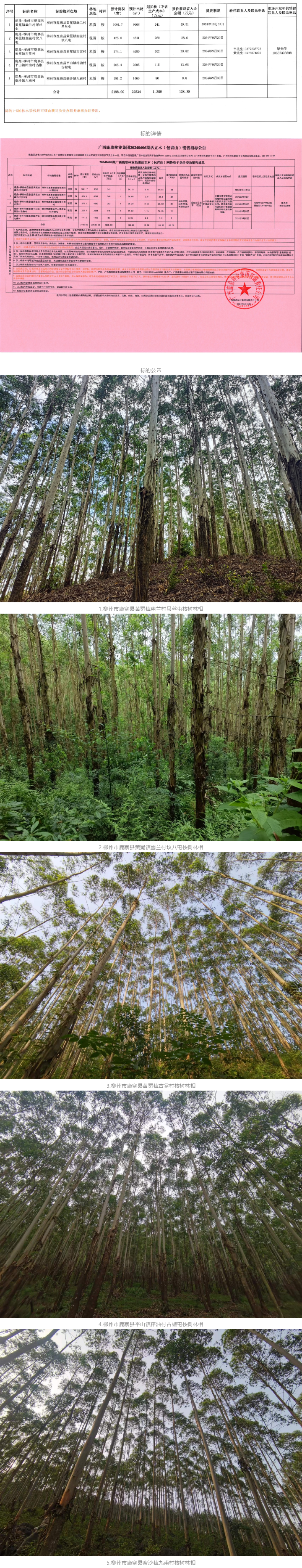 luck18xinli(中国区)-官方网站