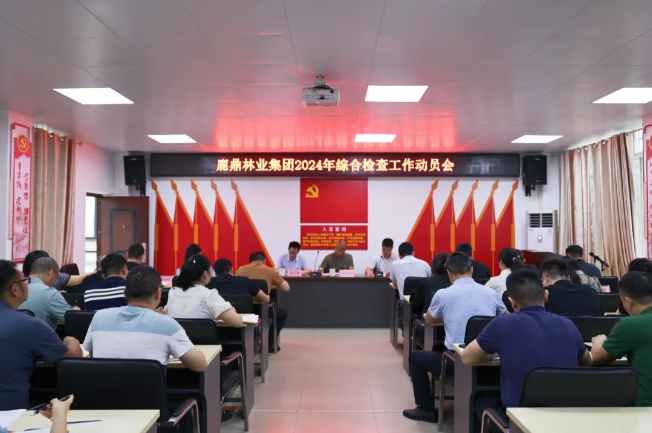 luck18xinli林业集团召开2024年综合查抄工作带头会