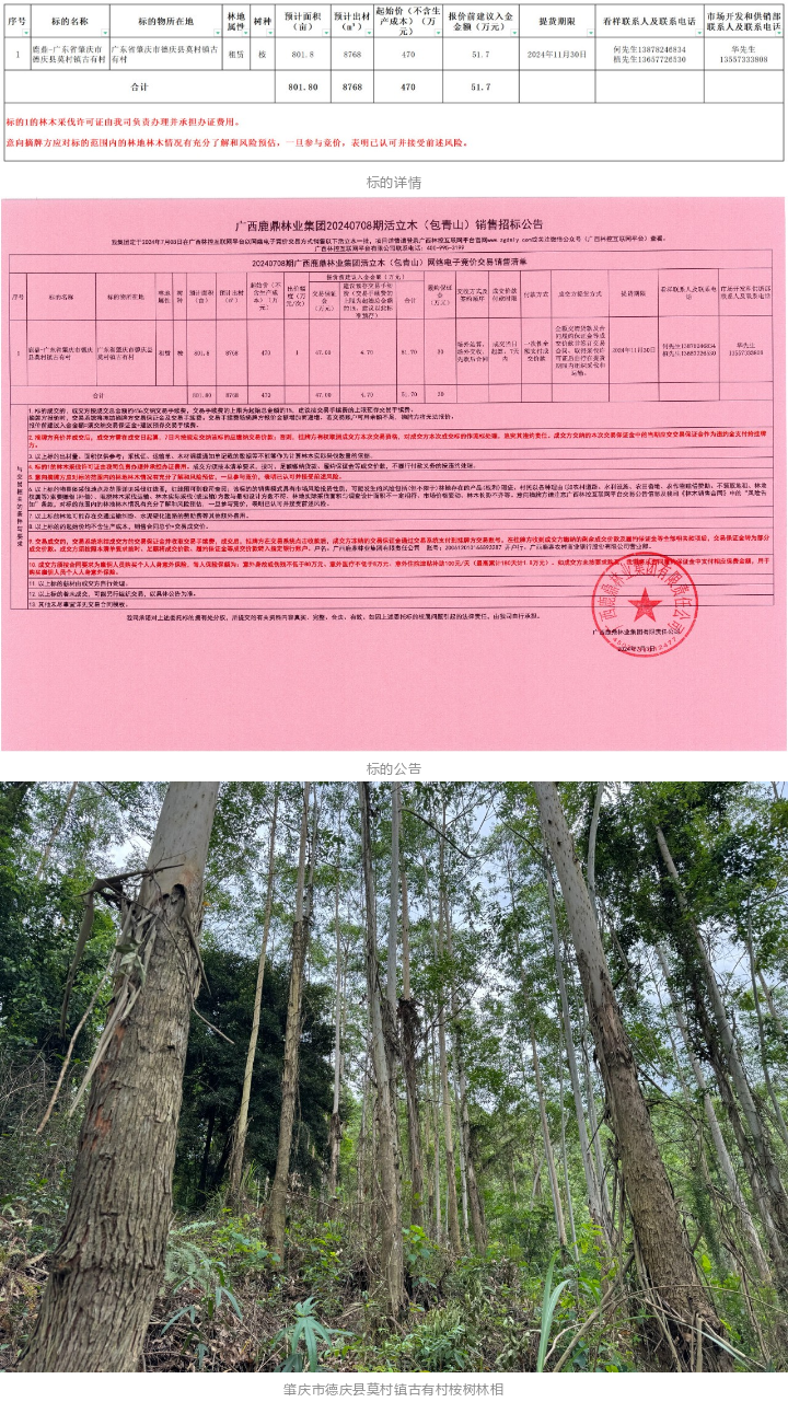 luck18xinli(中国区)-官方网站