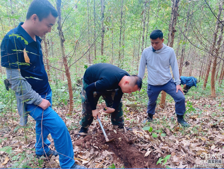 luck18xinli(中国区)-官方网站