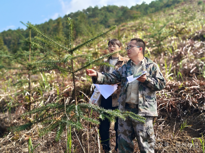 luck18xinli(中国区)-官方网站