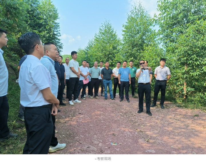 luck18xinli(中国区)-官方网站