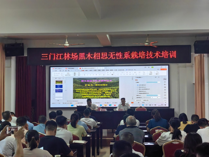 luck18xinli(中国区)-官方网站