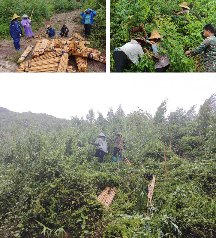 luck18xinli(中国区)-官方网站