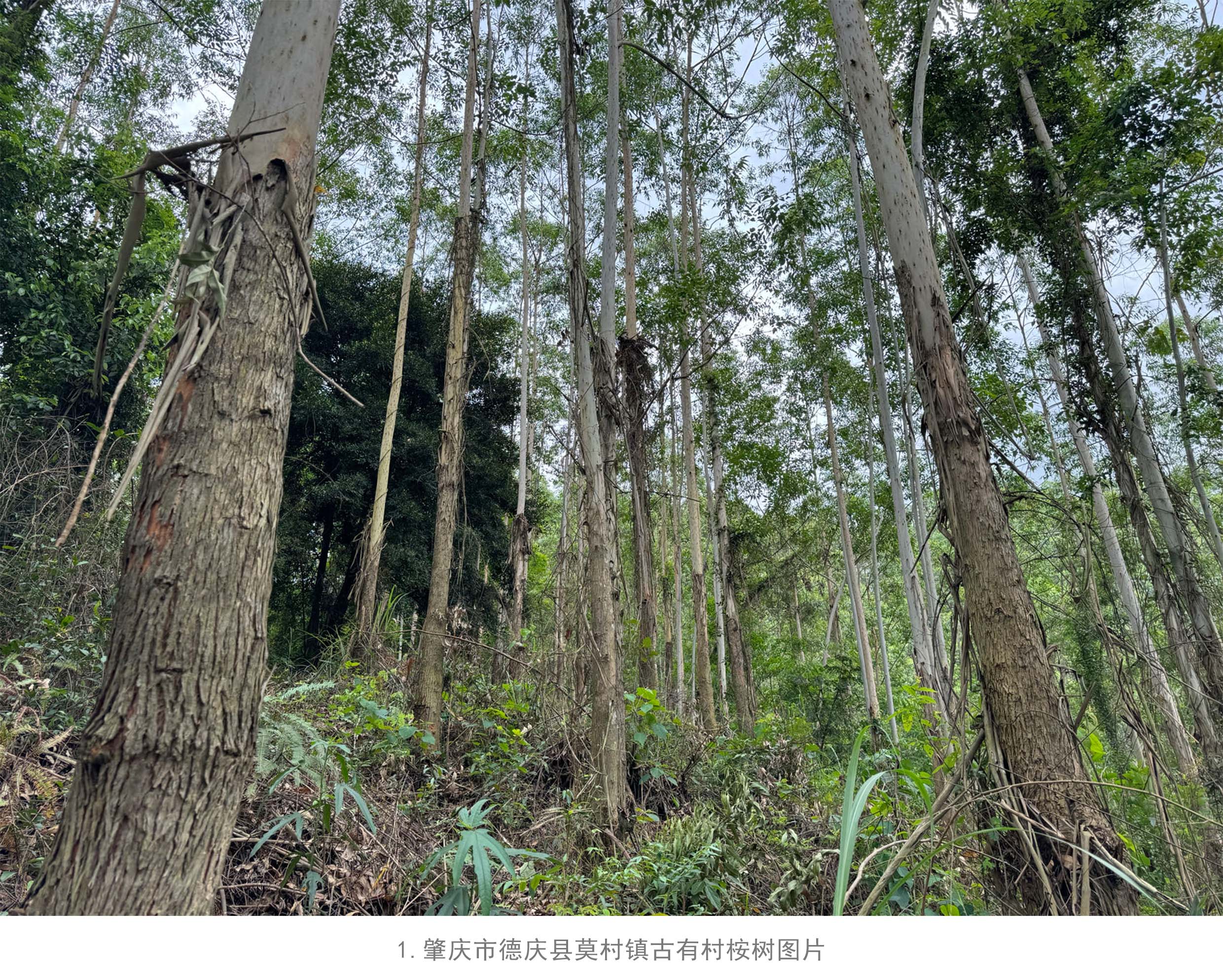 luck18xinli(中国区)-官方网站