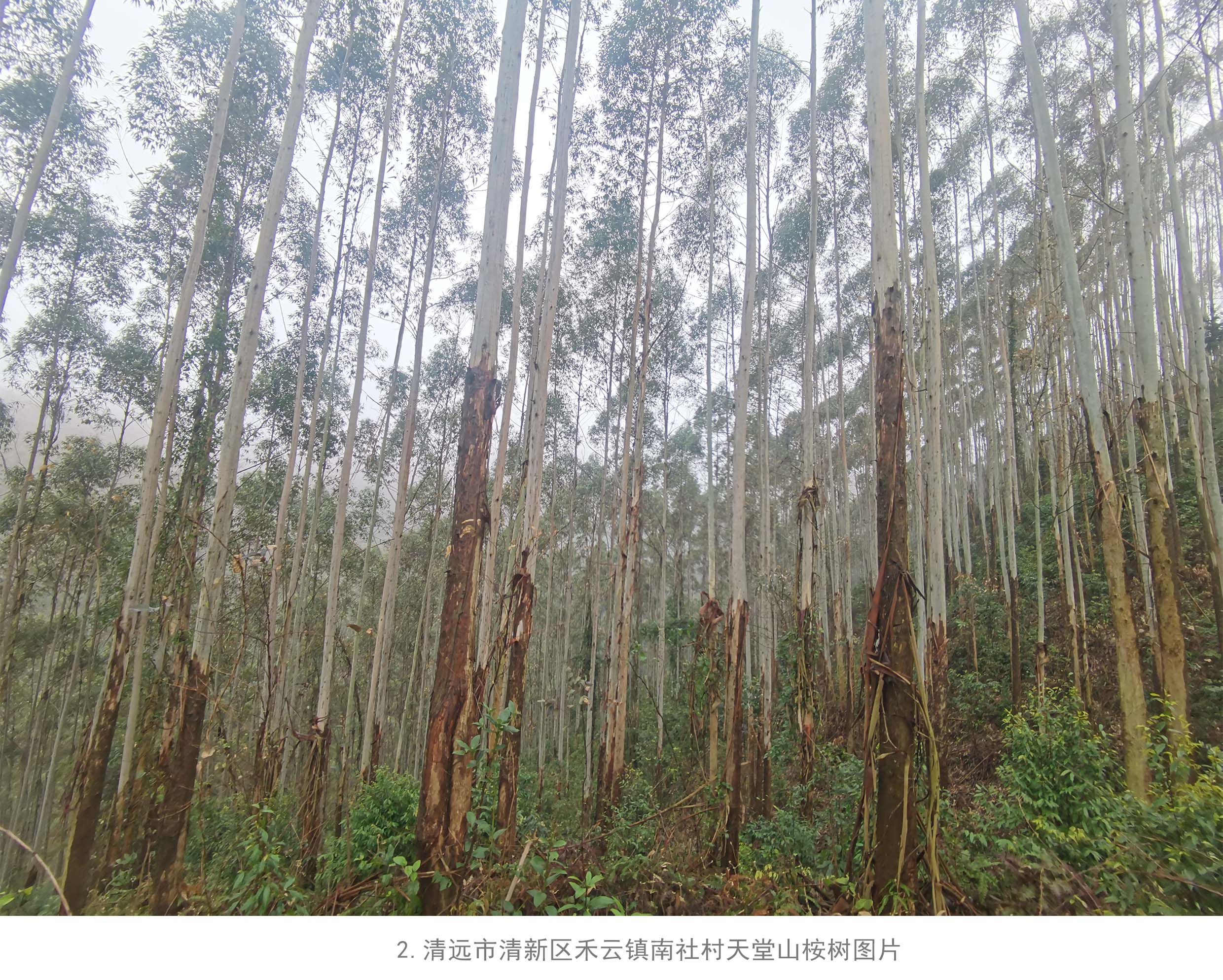 luck18xinli(中国区)-官方网站