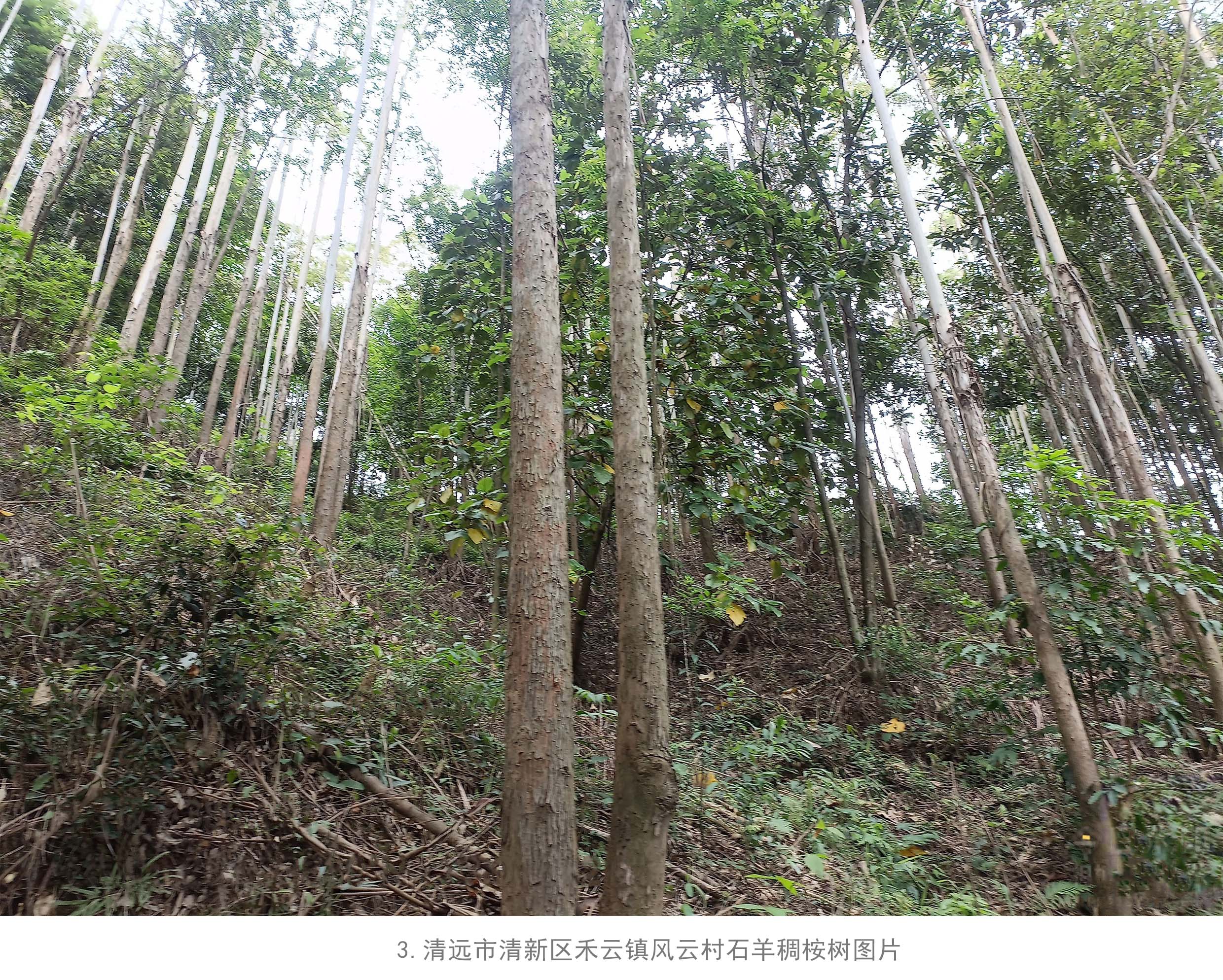 luck18xinli(中国区)-官方网站