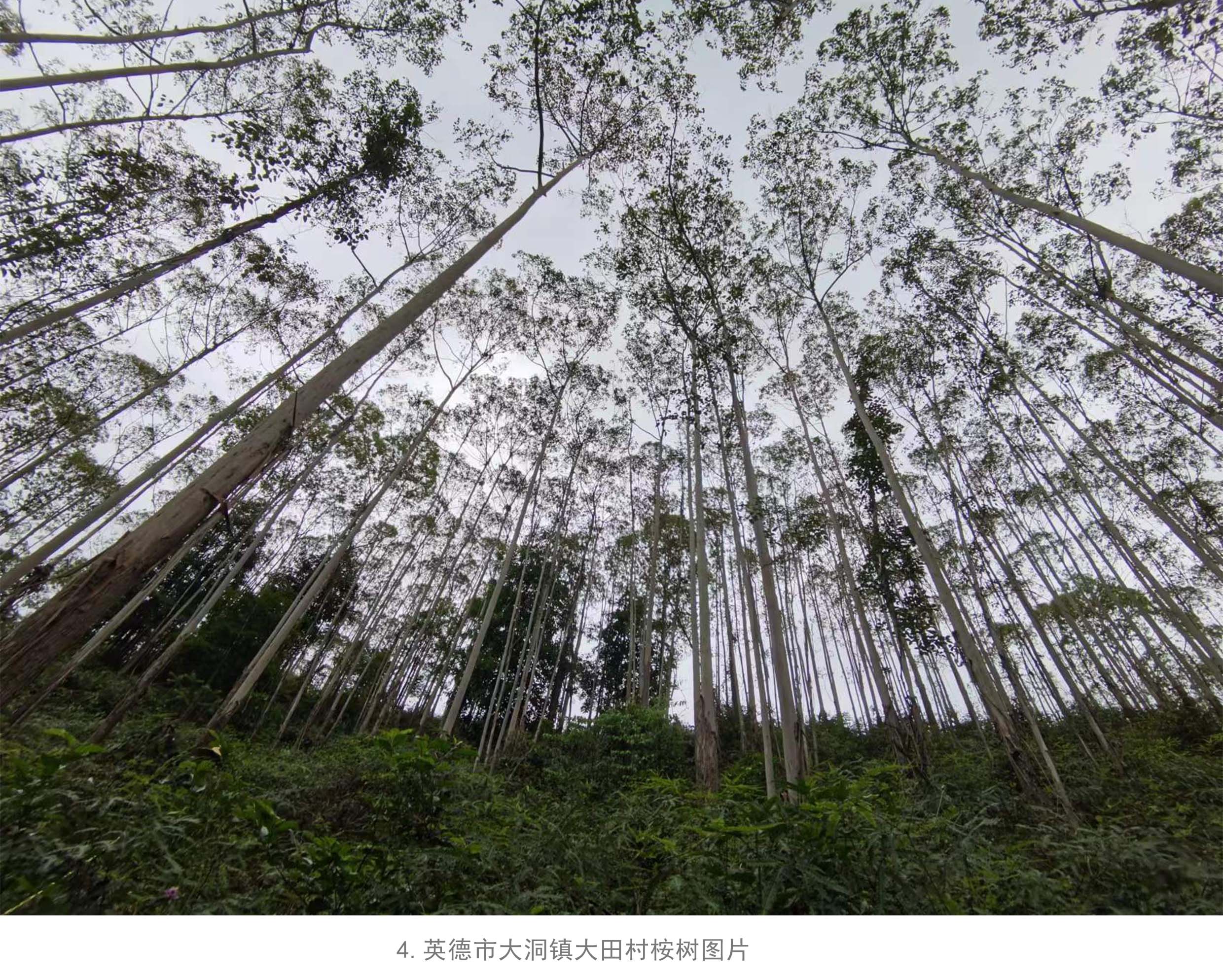 luck18xinli(中国区)-官方网站