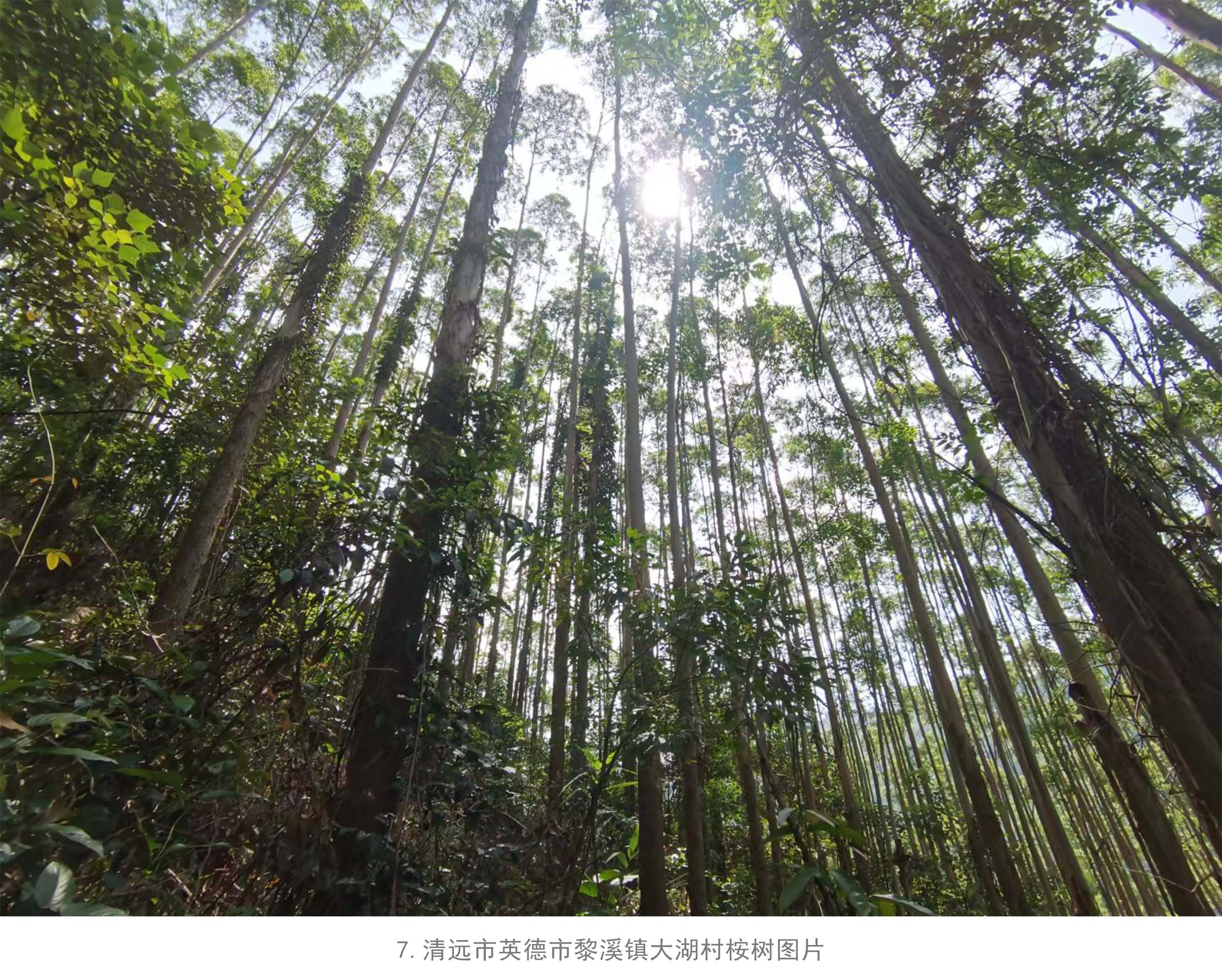 luck18xinli(中国区)-官方网站