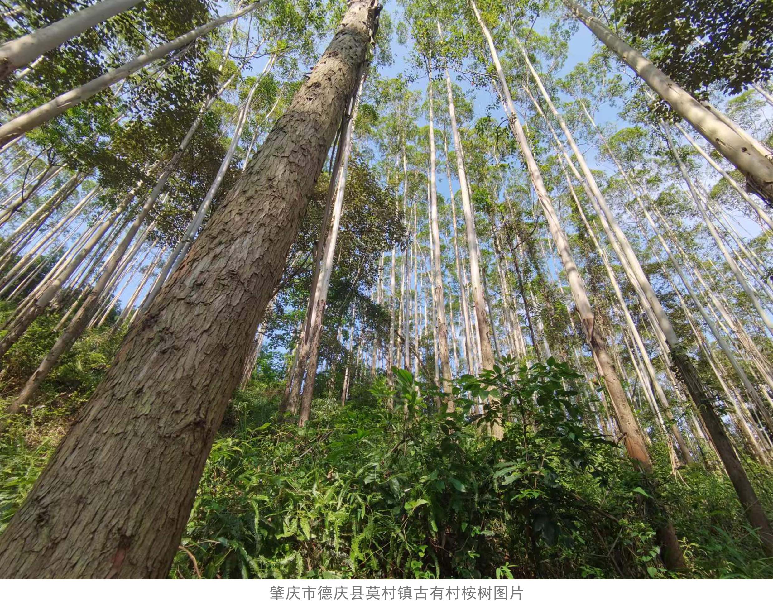 luck18xinli(中国区)-官方网站