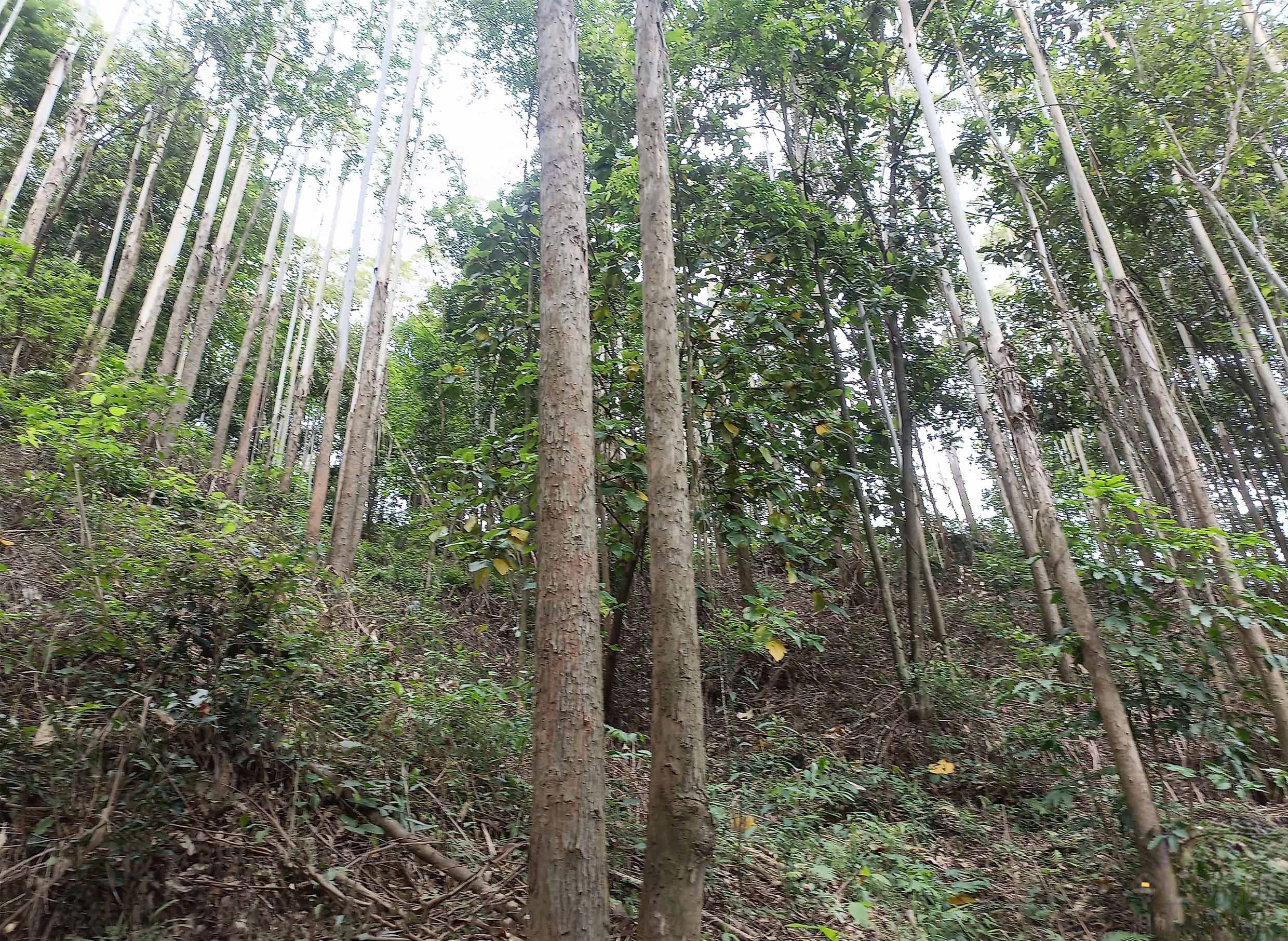 luck18xinli(中国区)-官方网站