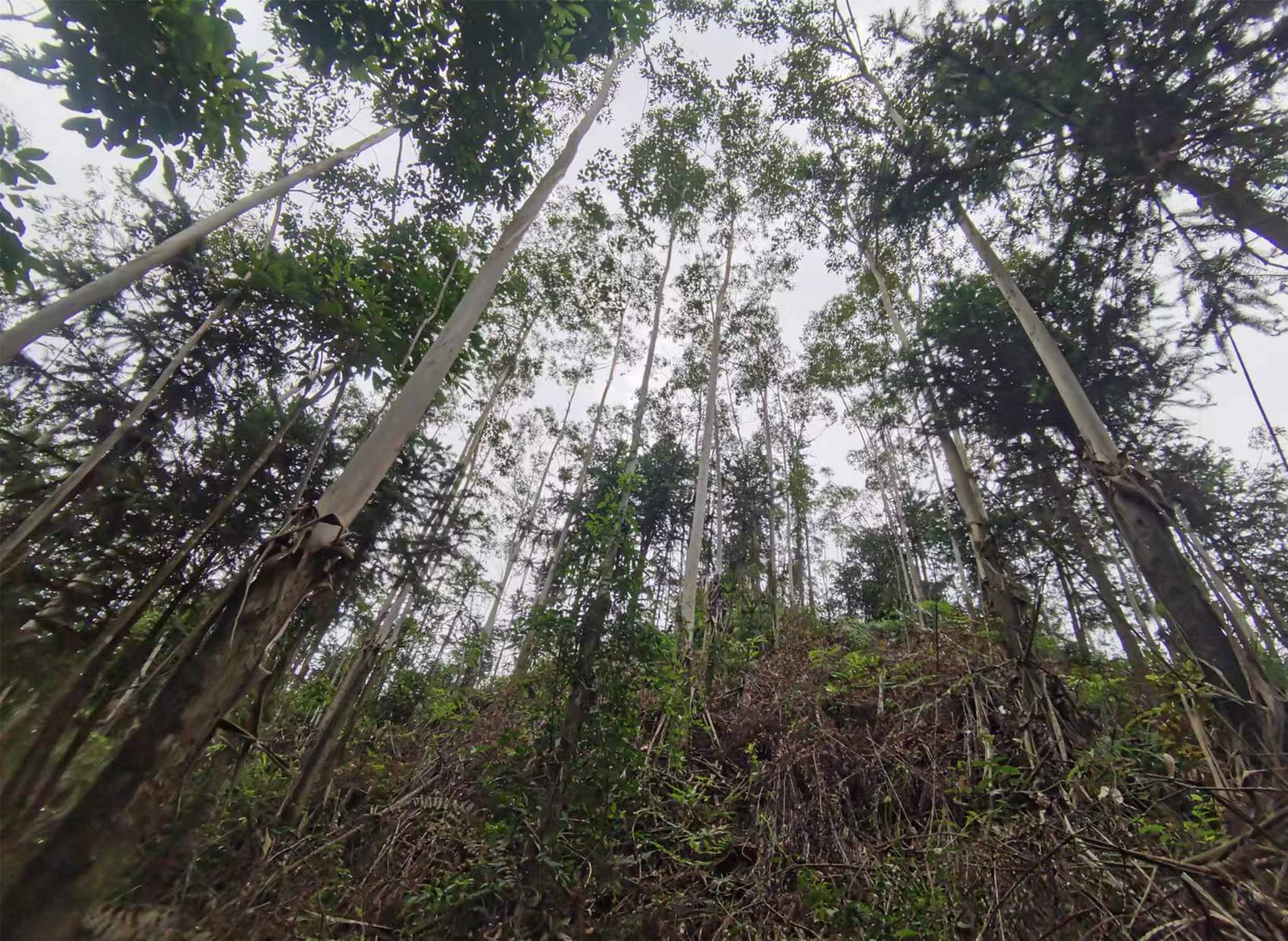 luck18xinli(中国区)-官方网站