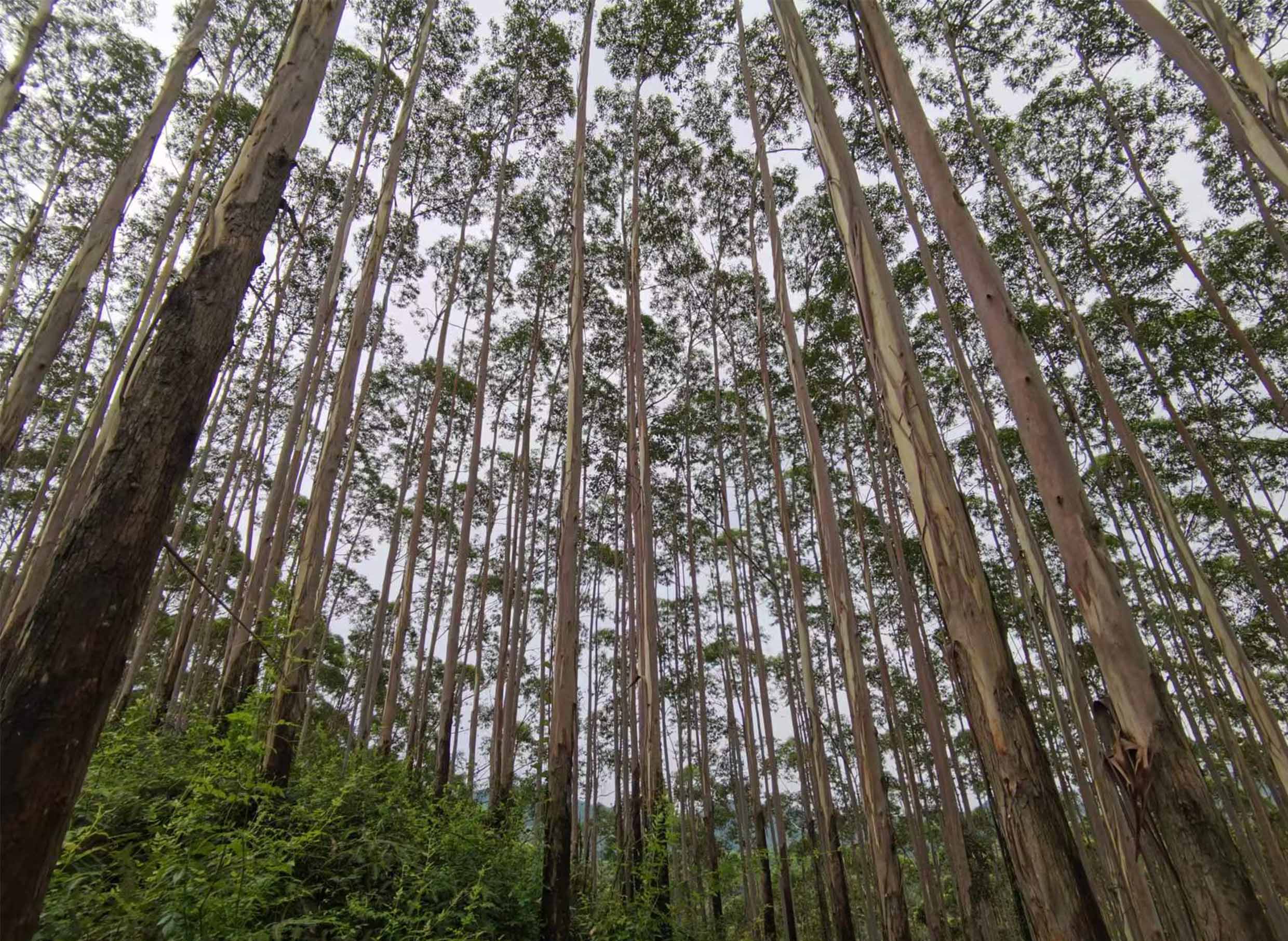 luck18xinli(中国区)-官方网站