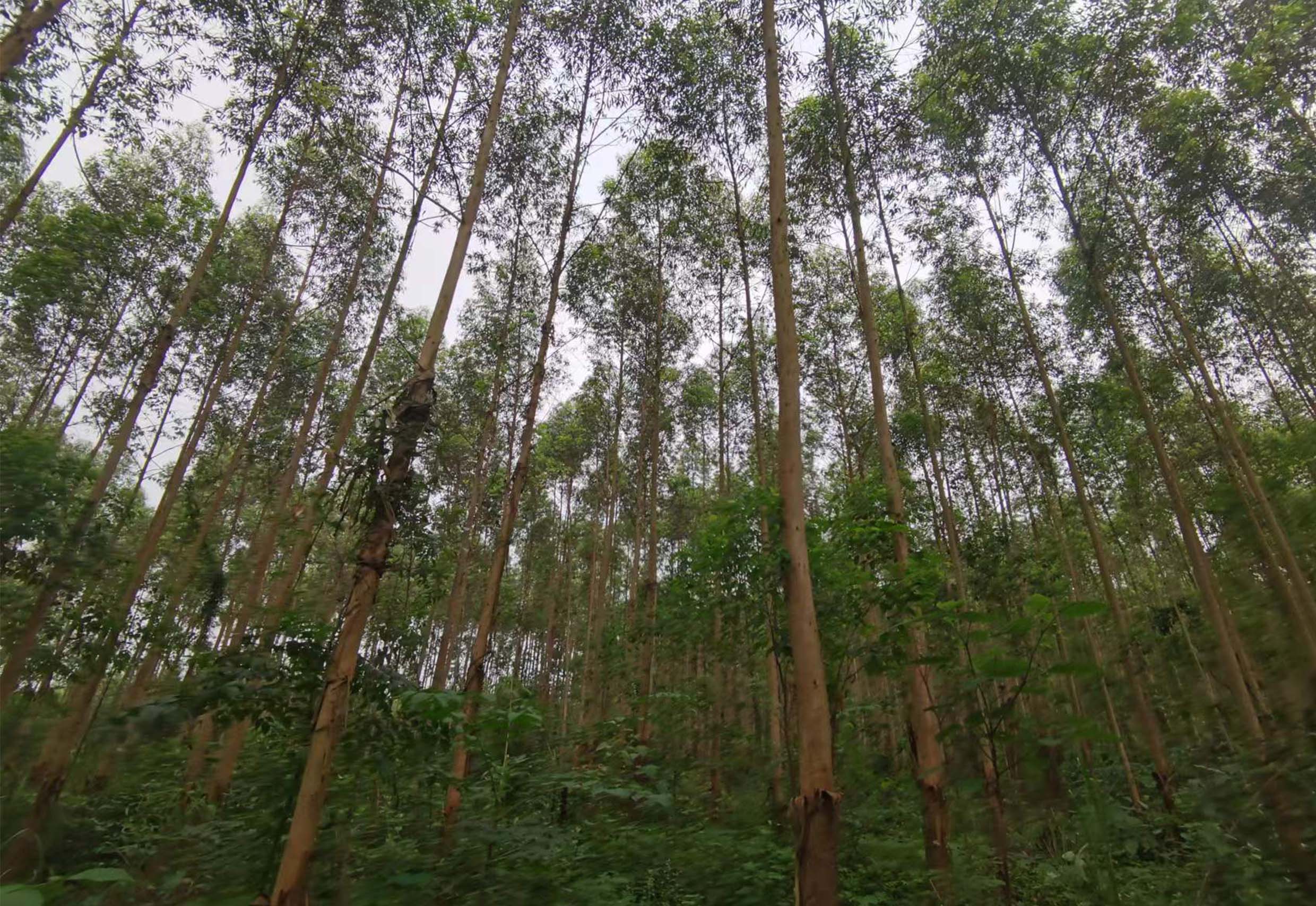 luck18xinli(中国区)-官方网站