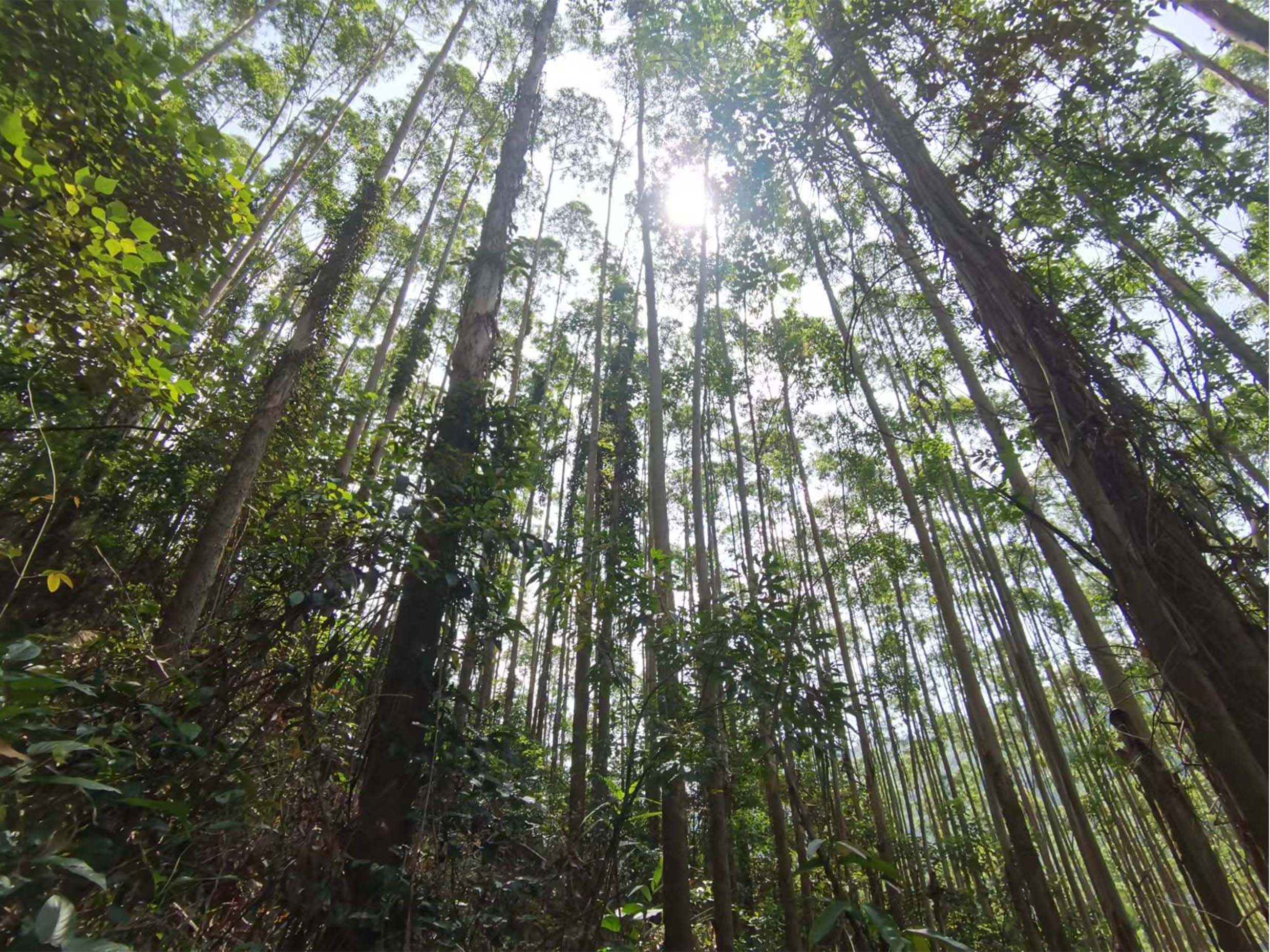 luck18xinli(中国区)-官方网站