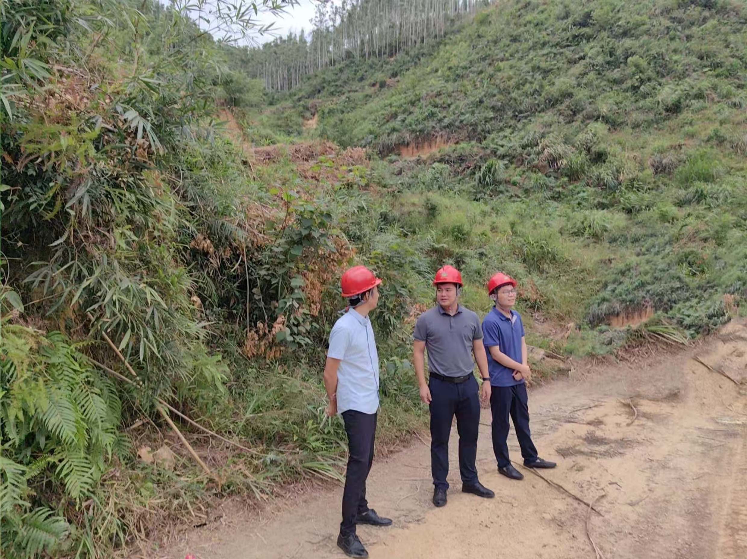 廖长琨到广东林区查抄领导工作