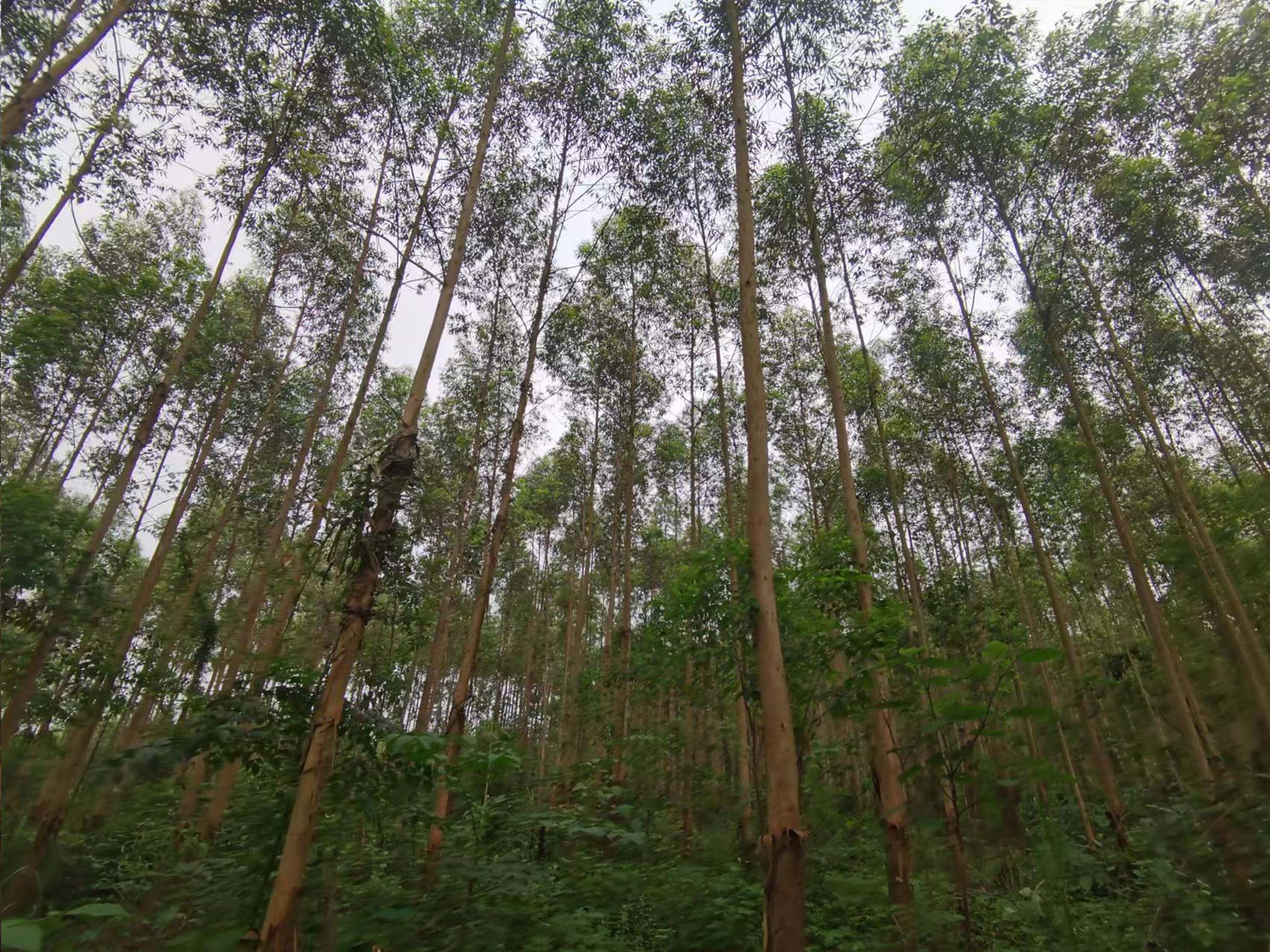 luck18xinli(中国区)-官方网站