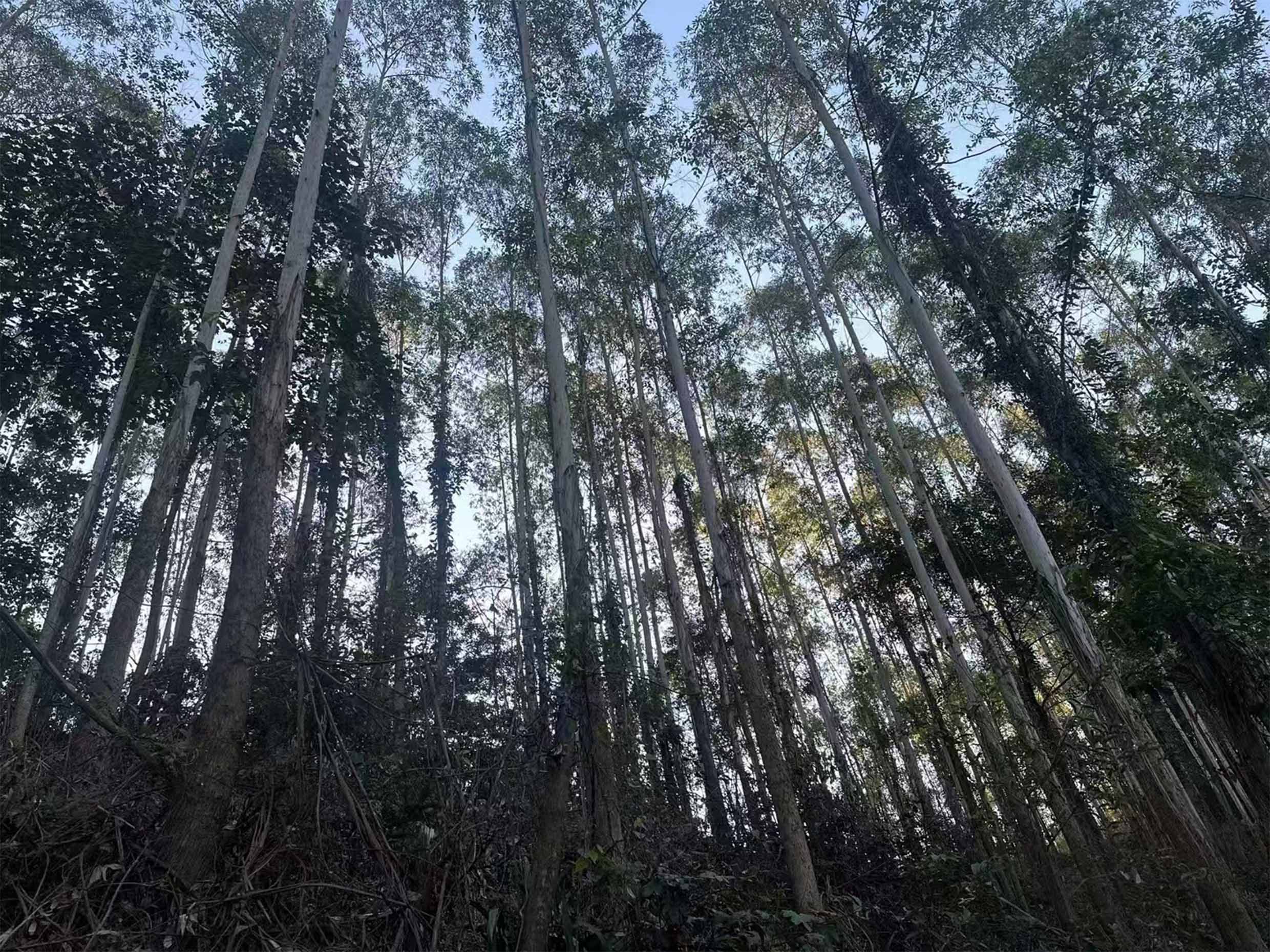 luck18xinli(中国区)-官方网站