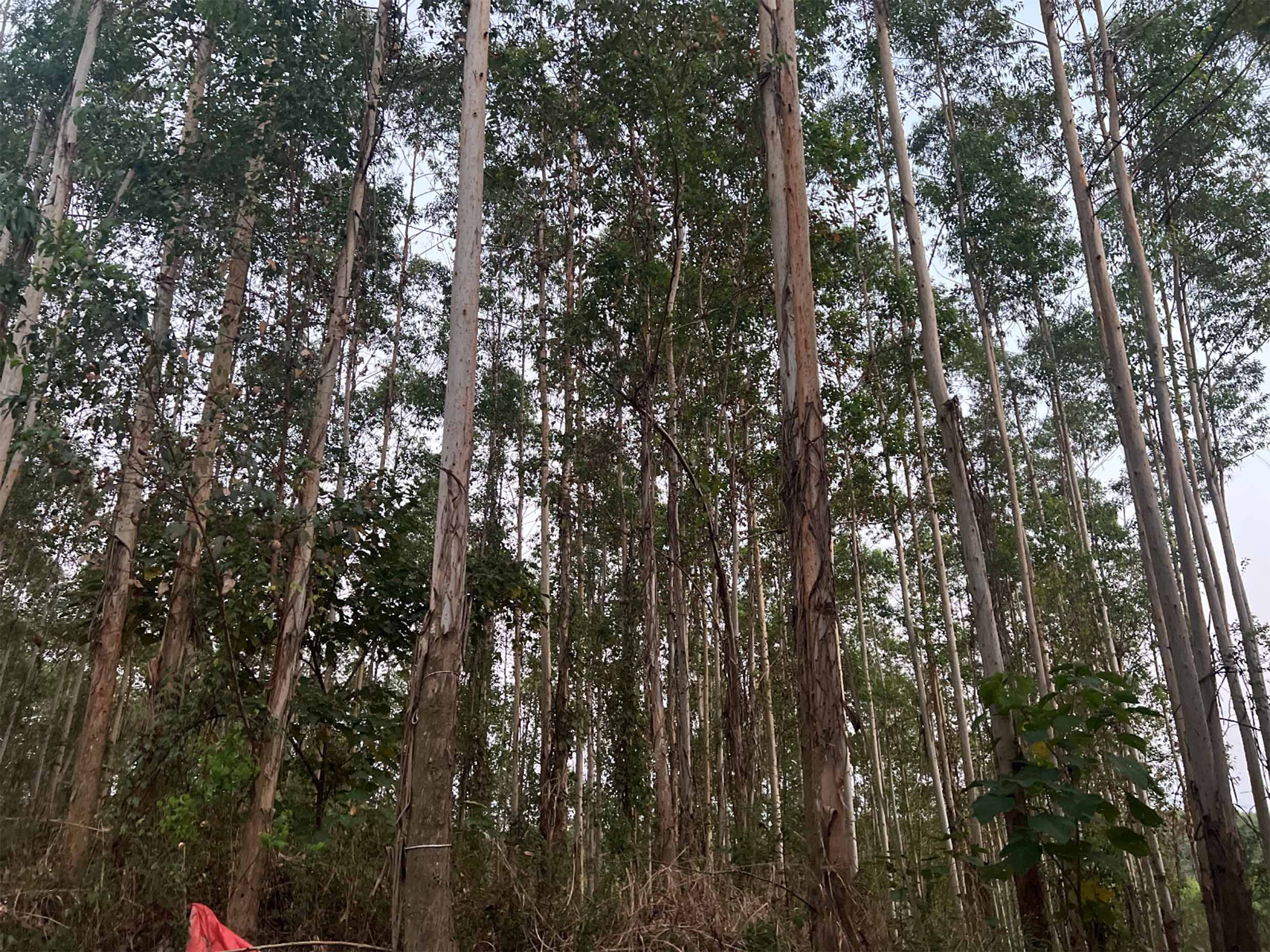 luck18xinli(中国区)-官方网站