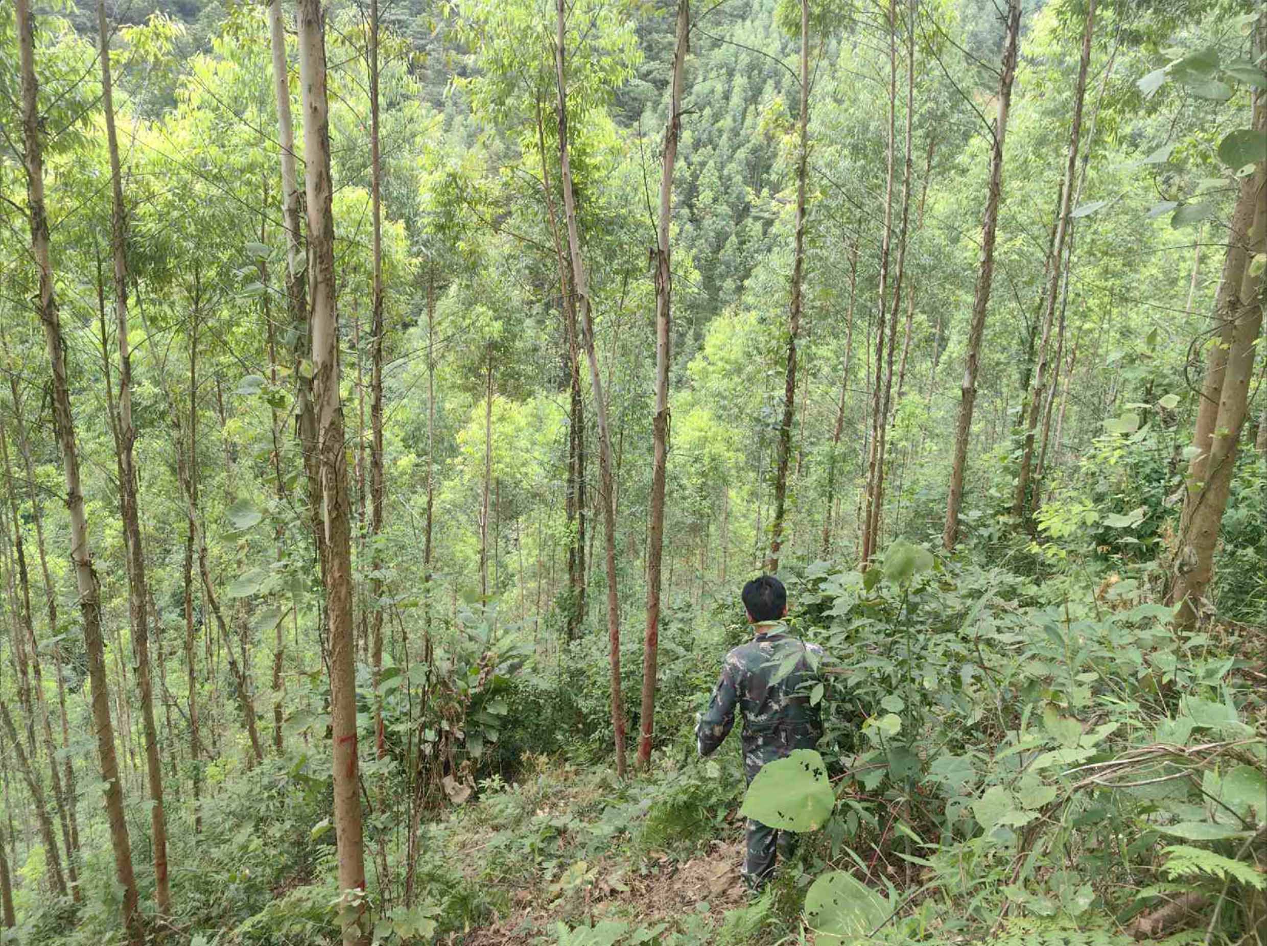 luck18xinli(中国区)-官方网站