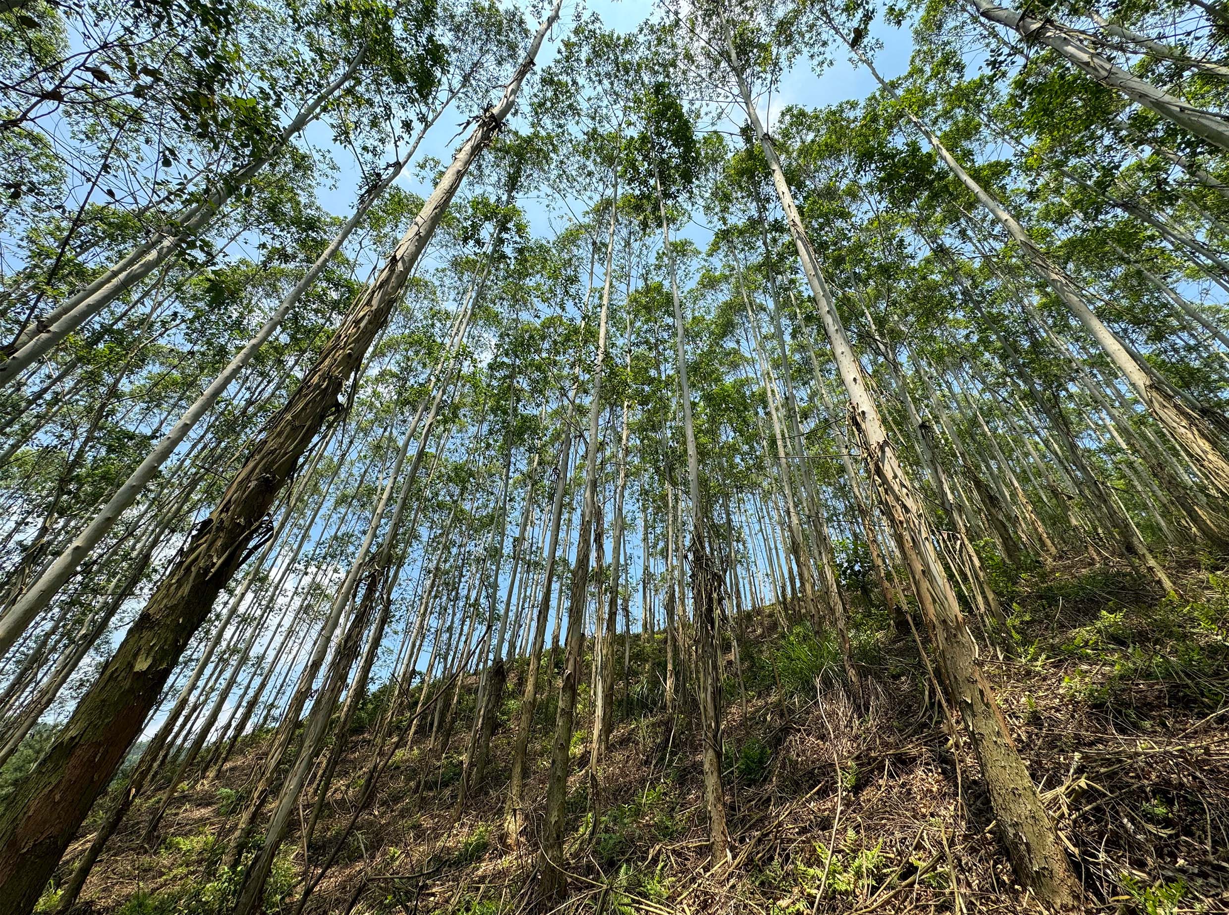 luck18xinli(中国区)-官方网站