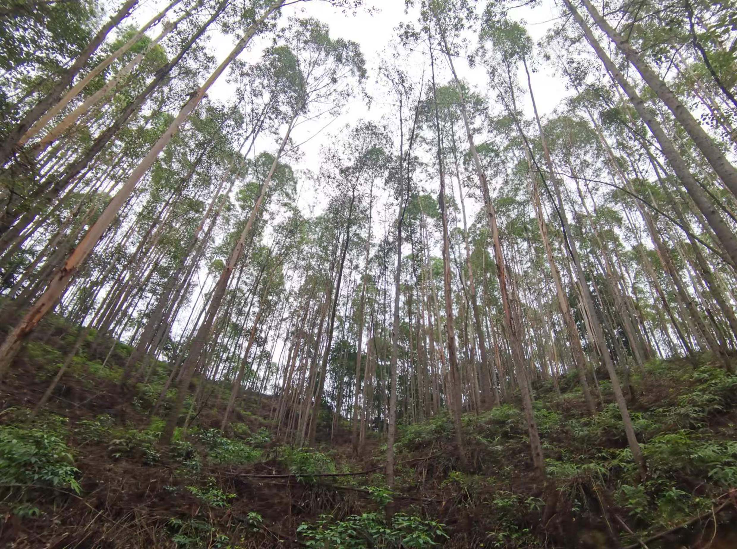 luck18xinli(中国区)-官方网站