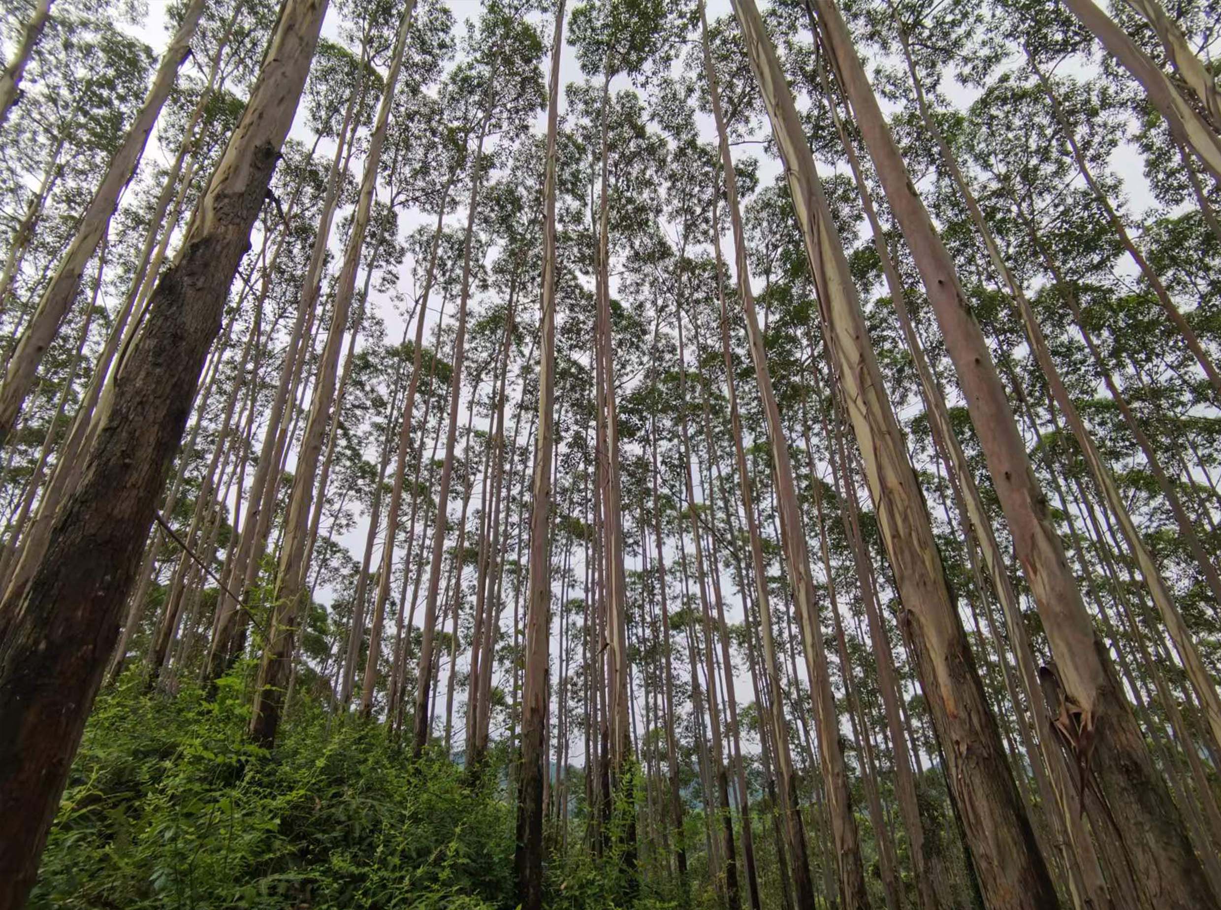 luck18xinli(中国区)-官方网站