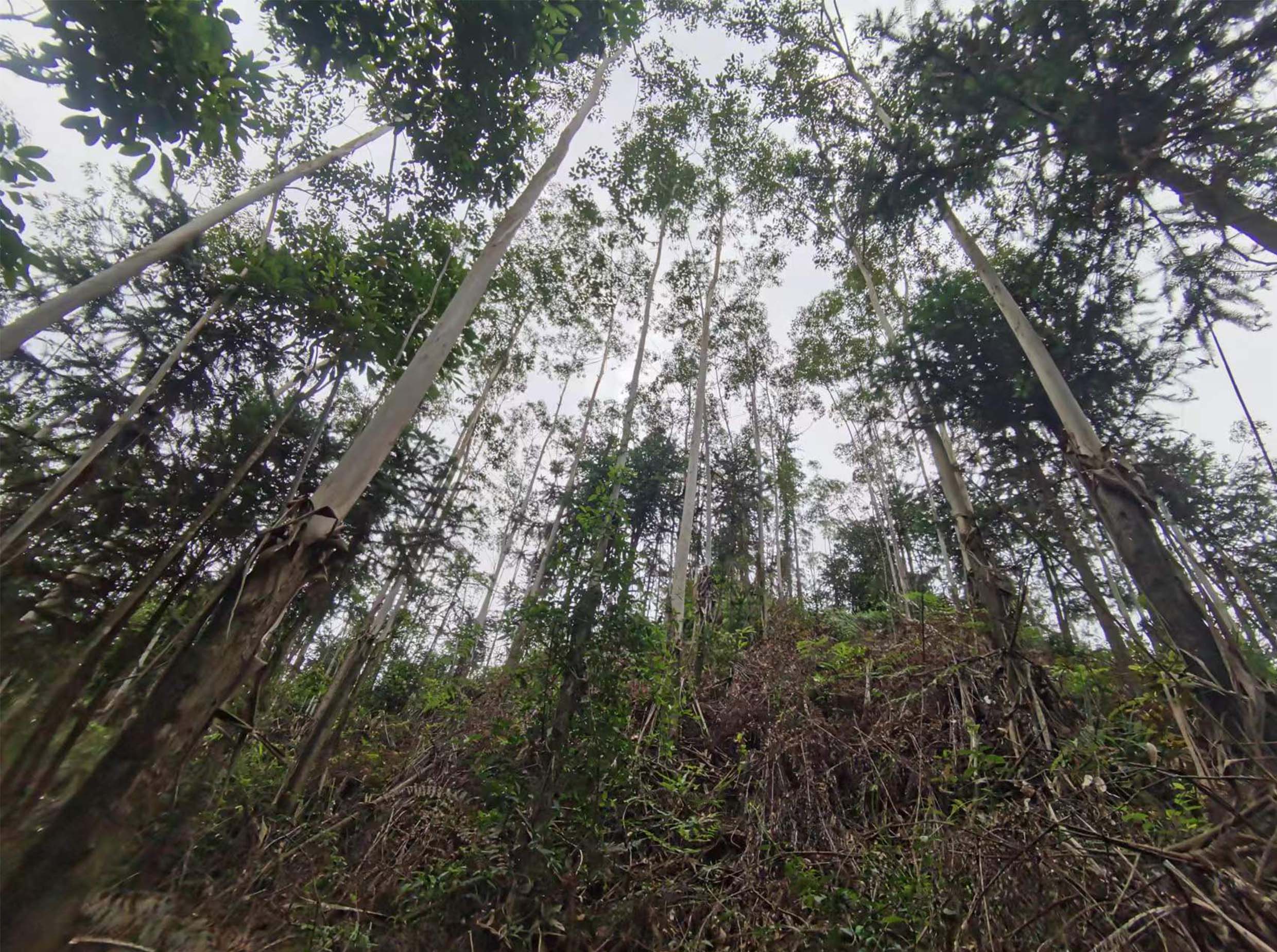 luck18xinli(中国区)-官方网站