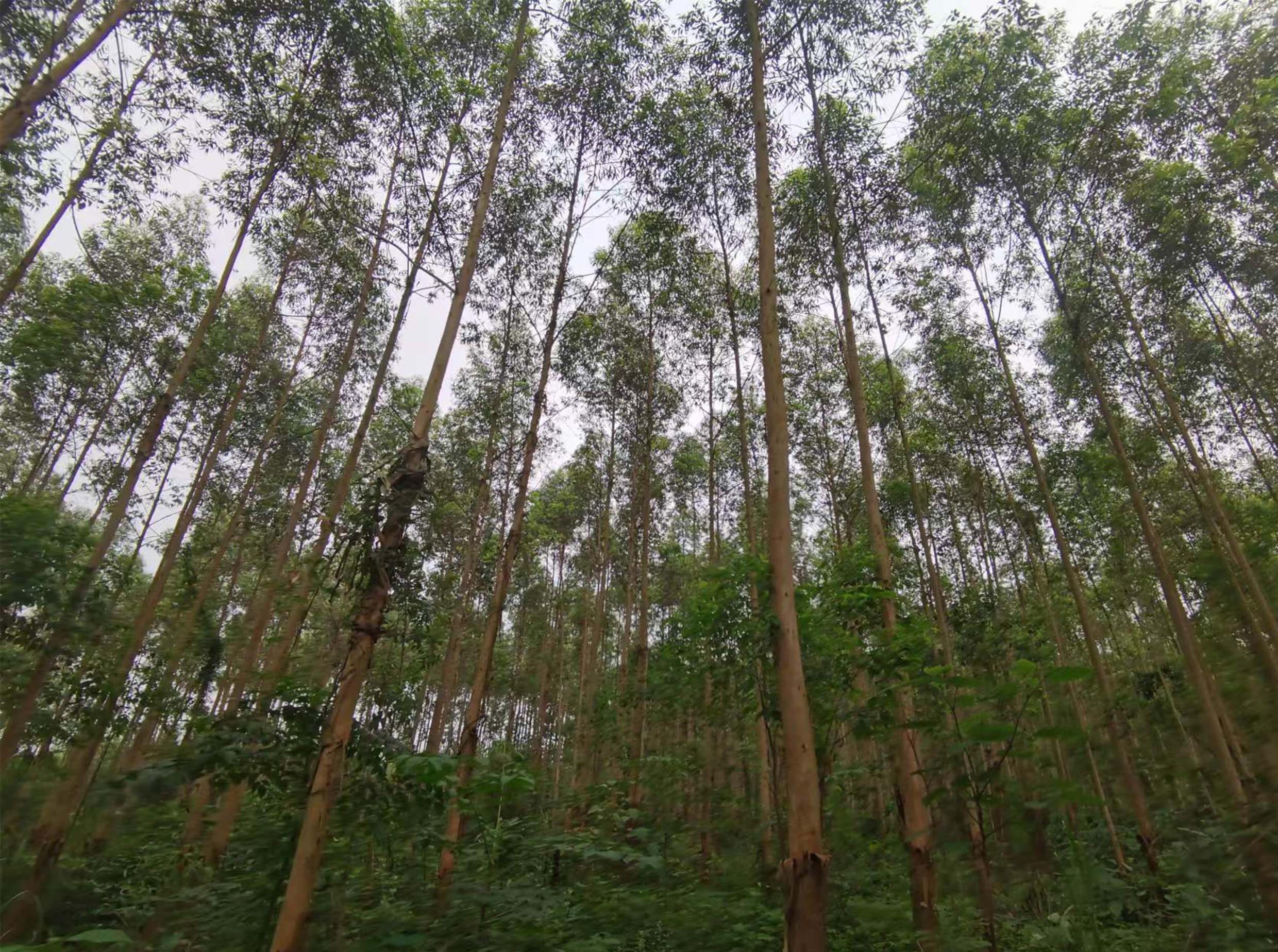 luck18xinli(中国区)-官方网站