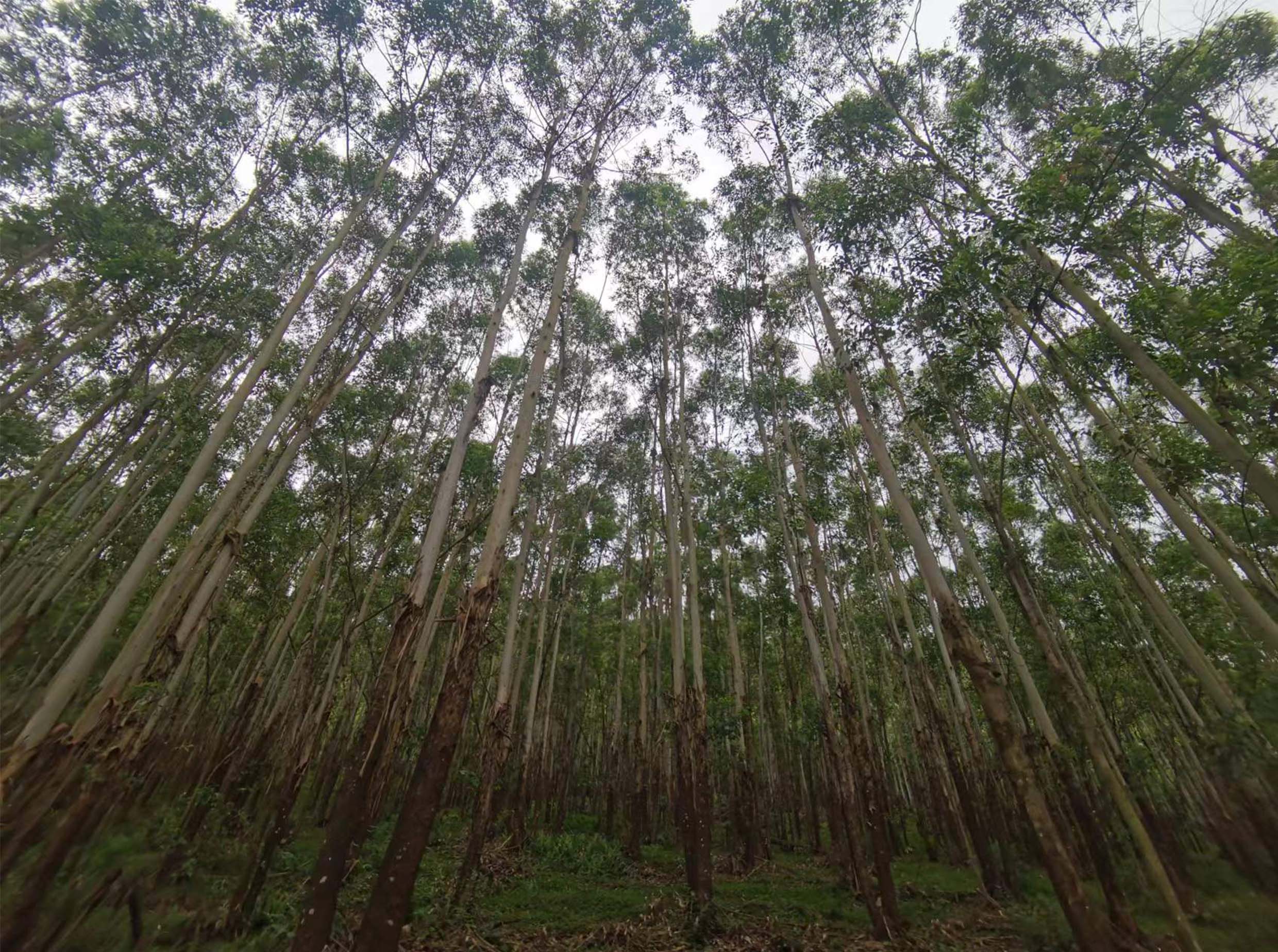 luck18xinli(中国区)-官方网站