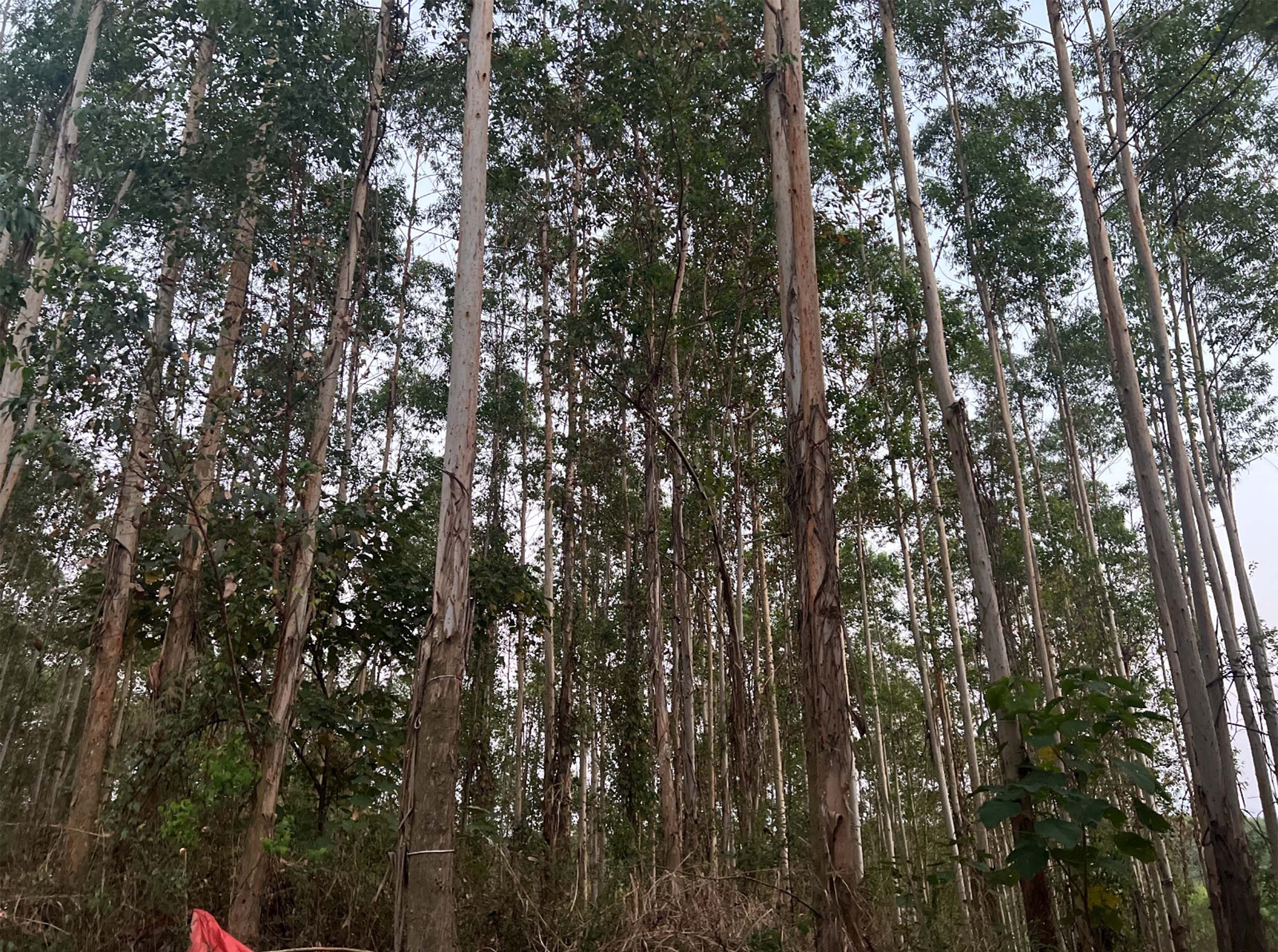 luck18xinli(中国区)-官方网站