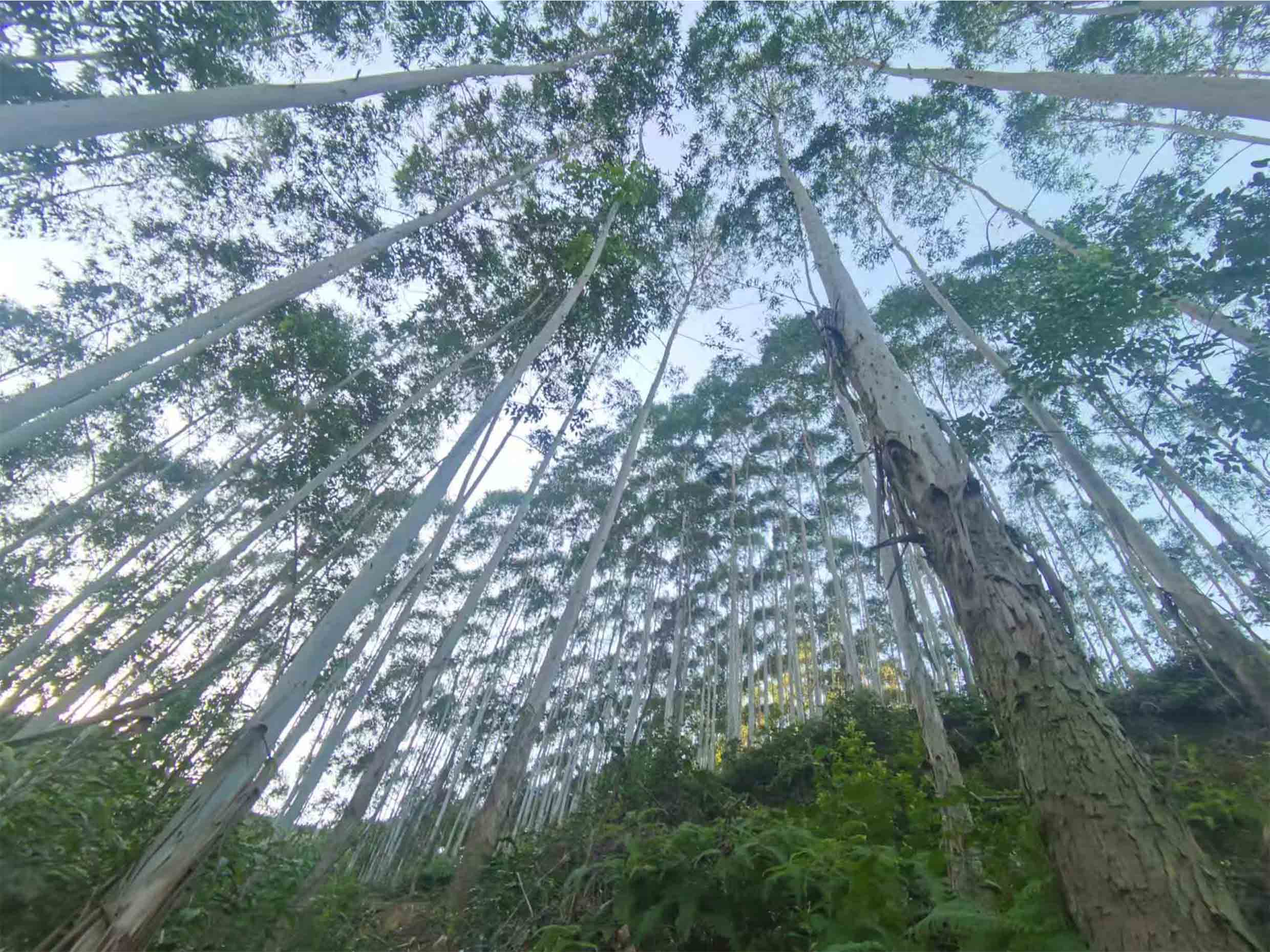 luck18xinli(中国区)-官方网站