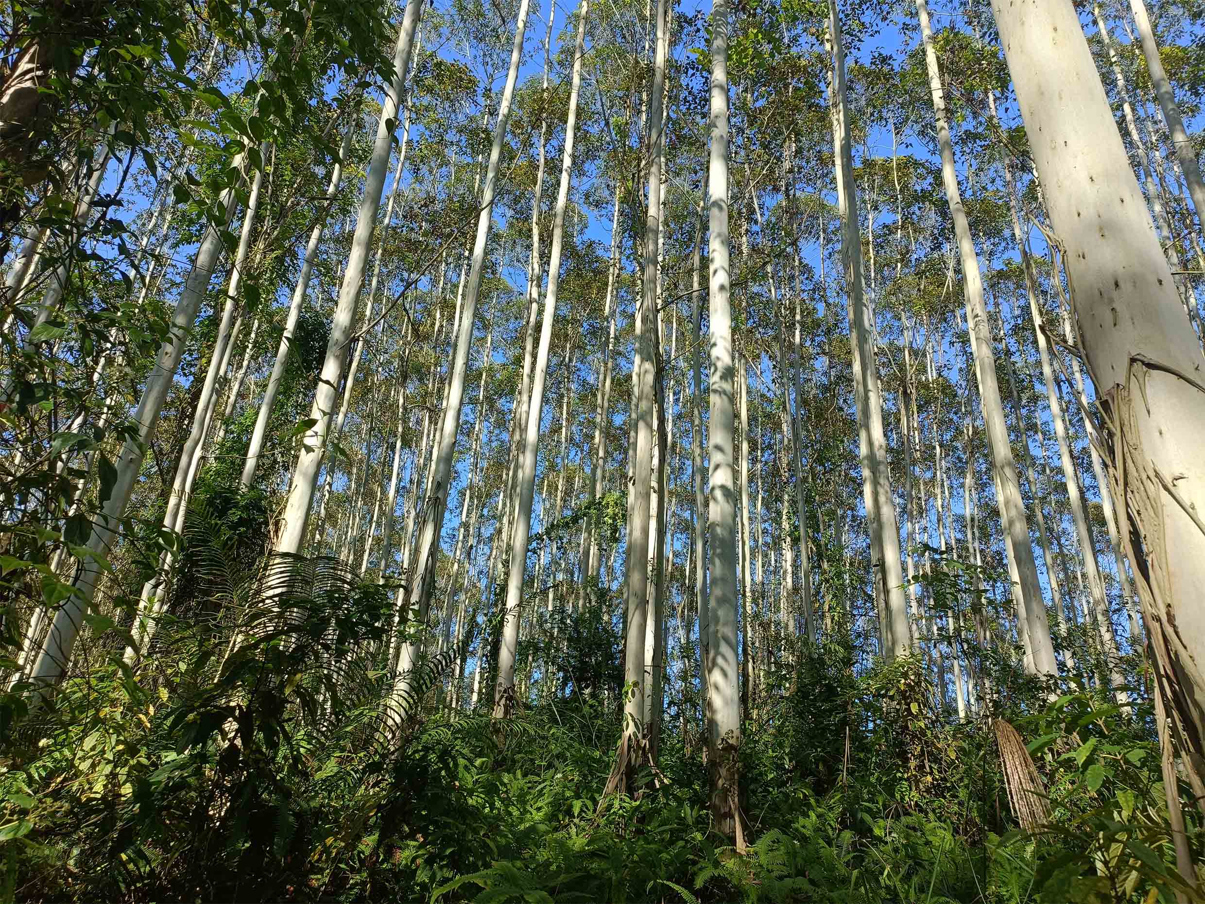 luck18xinli(中国区)-官方网站