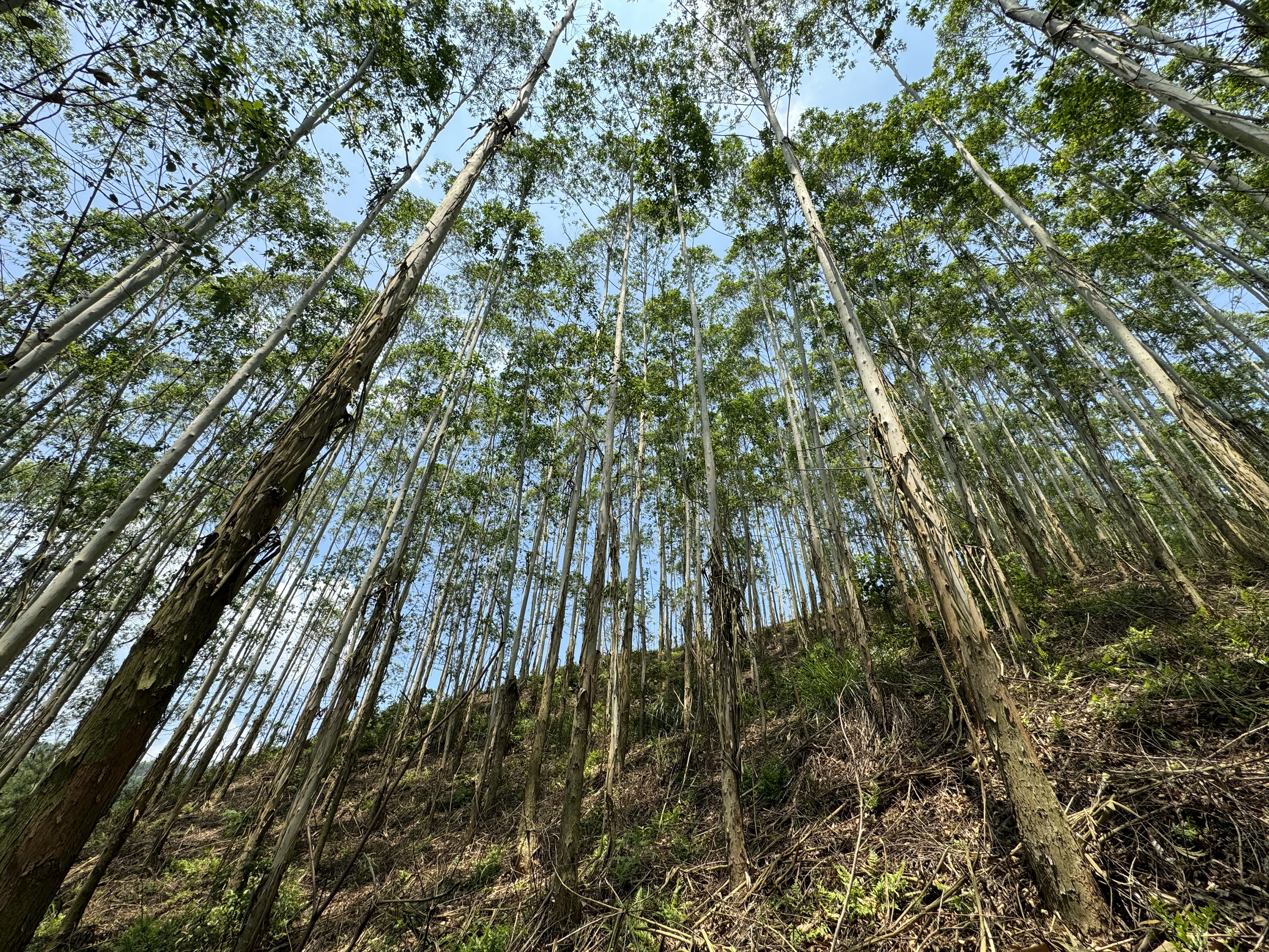 luck18xinli(中国区)-官方网站