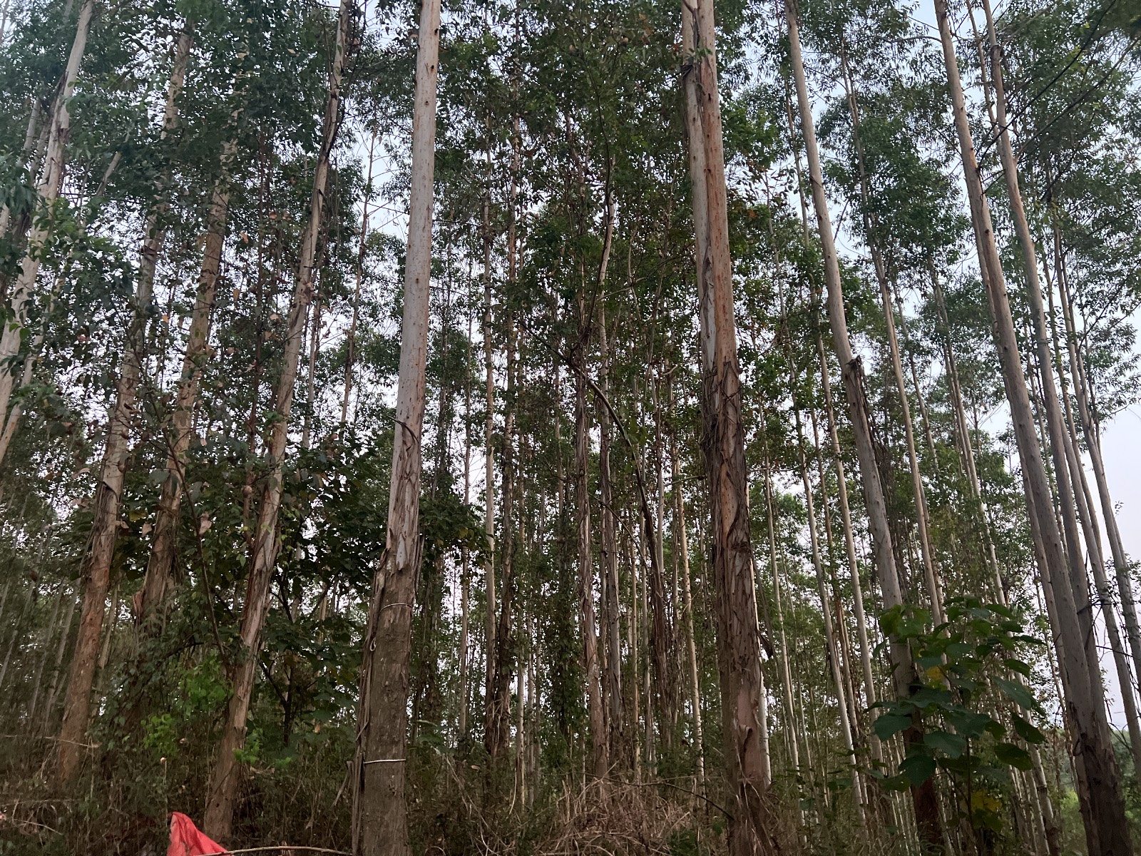 luck18xinli(中国区)-官方网站